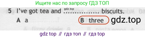 Английский язык (english), 5 класс контрольные задания (test booklet), авторы: Ваулина Юлия Евгеньевна (Vaulina Julia), Дули Дженни (Dooley Jenny), Подоляко Ольга Евгеньевна (Podolyako Olga), Эванс Вирджиния (Evans Virginia), издательство Просвещение, Москва, 2023, белого цвета, страница 113, номер 5, Решение 2 (2019-2022)