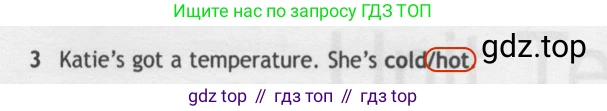 Английский язык (english), 5 класс контрольные задания (test booklet), авторы: Ваулина Юлия Евгеньевна (Vaulina Julia), Дули Дженни (Dooley Jenny), Подоляко Ольга Евгеньевна (Podolyako Olga), Эванс Вирджиния (Evans Virginia), издательство Просвещение, Москва, 2023, белого цвета, страница 121, номер 3, Решение 2 (2019-2022)
