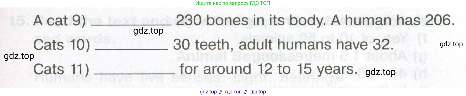 Английский язык (english), 5 класс Тренировочные упражнения в формате ОГЭ (ГИА), авторы: Ваулина Юлия Евгеньевна (Vaulina Julia), Подоляко Ольга Евгеньевна (Podolyako Olga), издательство Просвещение, Москва, 2023, оранжевого цвета, страница 58, номер 11, Условие (продолжение 2)