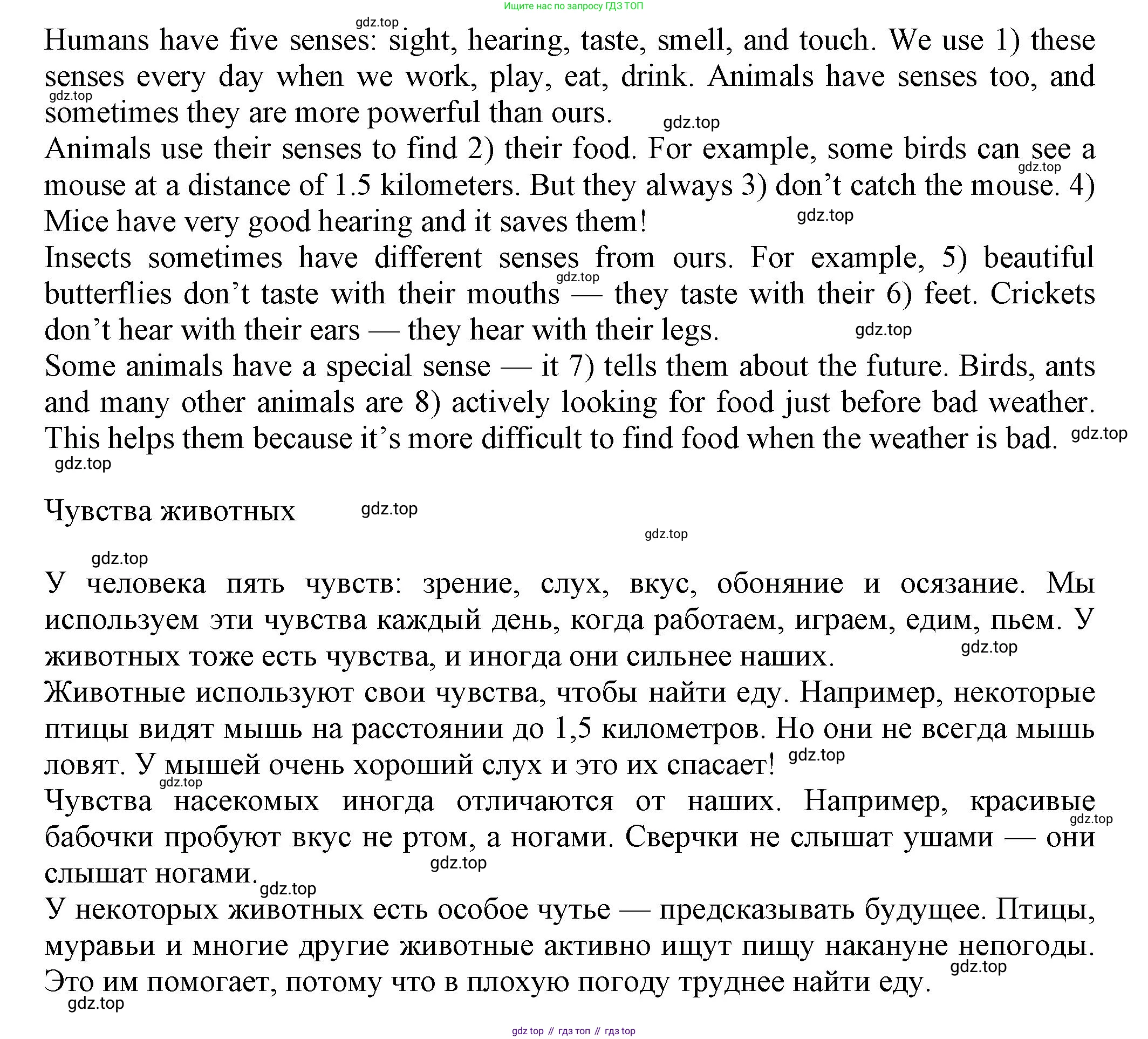 ГДЗ Английский язык (english), 5 класс Тренировочные упражнения в формате ОГЭ (ГИА), авторы: Ваулина Юлия Евгеньевна (Vaulina Julia), Подоляко Ольга Евгеньевна (Podolyako Olga), издательство Просвещение, Москва, 2023, оранжевого цвета, страница 61, номер 15, Решение 1 (продолжение 2)