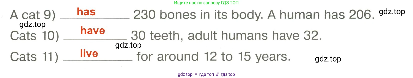 Английский язык (english), 5 класс Тренировочные упражнения в формате ОГЭ (ГИА), авторы: Ваулина Юлия Евгеньевна (Vaulina Julia), Подоляко Ольга Евгеньевна (Podolyako Olga), издательство Просвещение, Москва, 2023, оранжевого цвета, страница 58, номер 11, Решение 2 (продолжение 2)