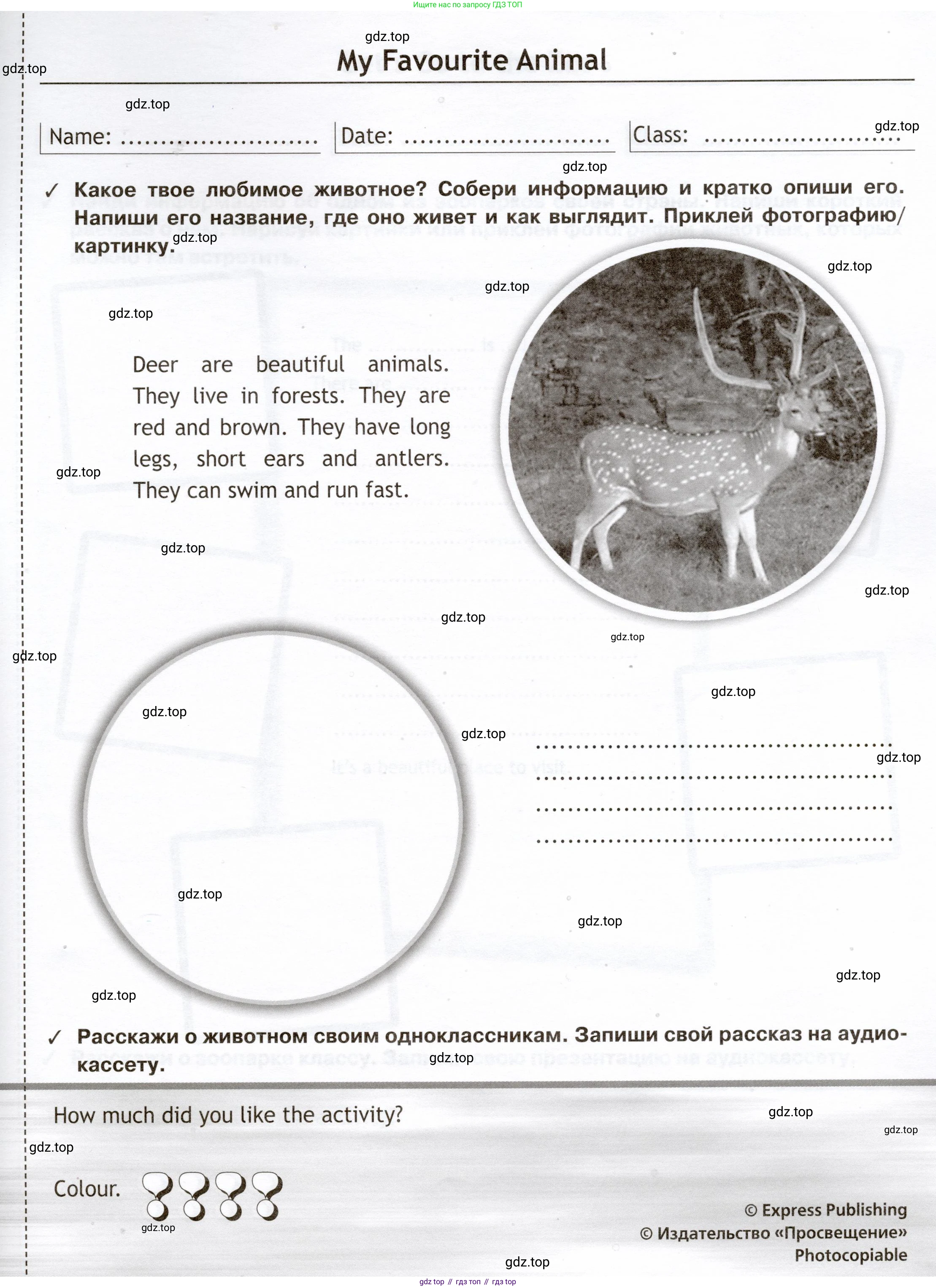 Английский язык (english), 5 класс Языковой портфель (my language portfolio), авторы: Ваулина Юлия Евгеньевна (Vaulina Julia), Дули Дженни (Dooley Jenny), Подоляко Ольга Евгеньевна (Podolyako Olga), Эванс Вирджиния (Evans Virginia), издательство Просвещение, Москва, 2011, серого цвета, страница 35, Условие