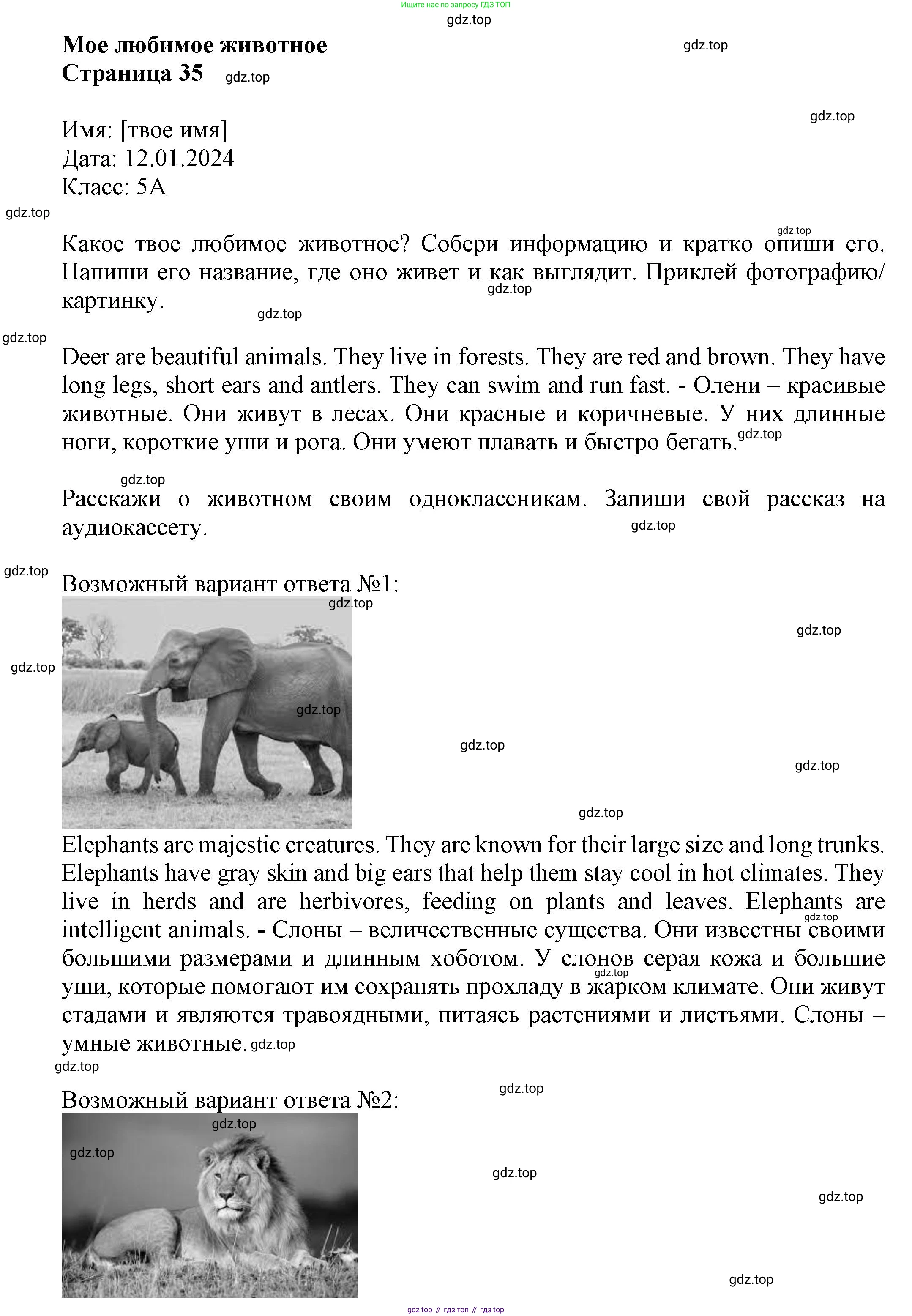 Английский язык (english), 5 класс Языковой портфель (my language portfolio), авторы: Ваулина Юлия Евгеньевна (Vaulina Julia), Дули Дженни (Dooley Jenny), Подоляко Ольга Евгеньевна (Podolyako Olga), Эванс Вирджиния (Evans Virginia), издательство Просвещение, Москва, 2011, серого цвета, страница 35, Решение