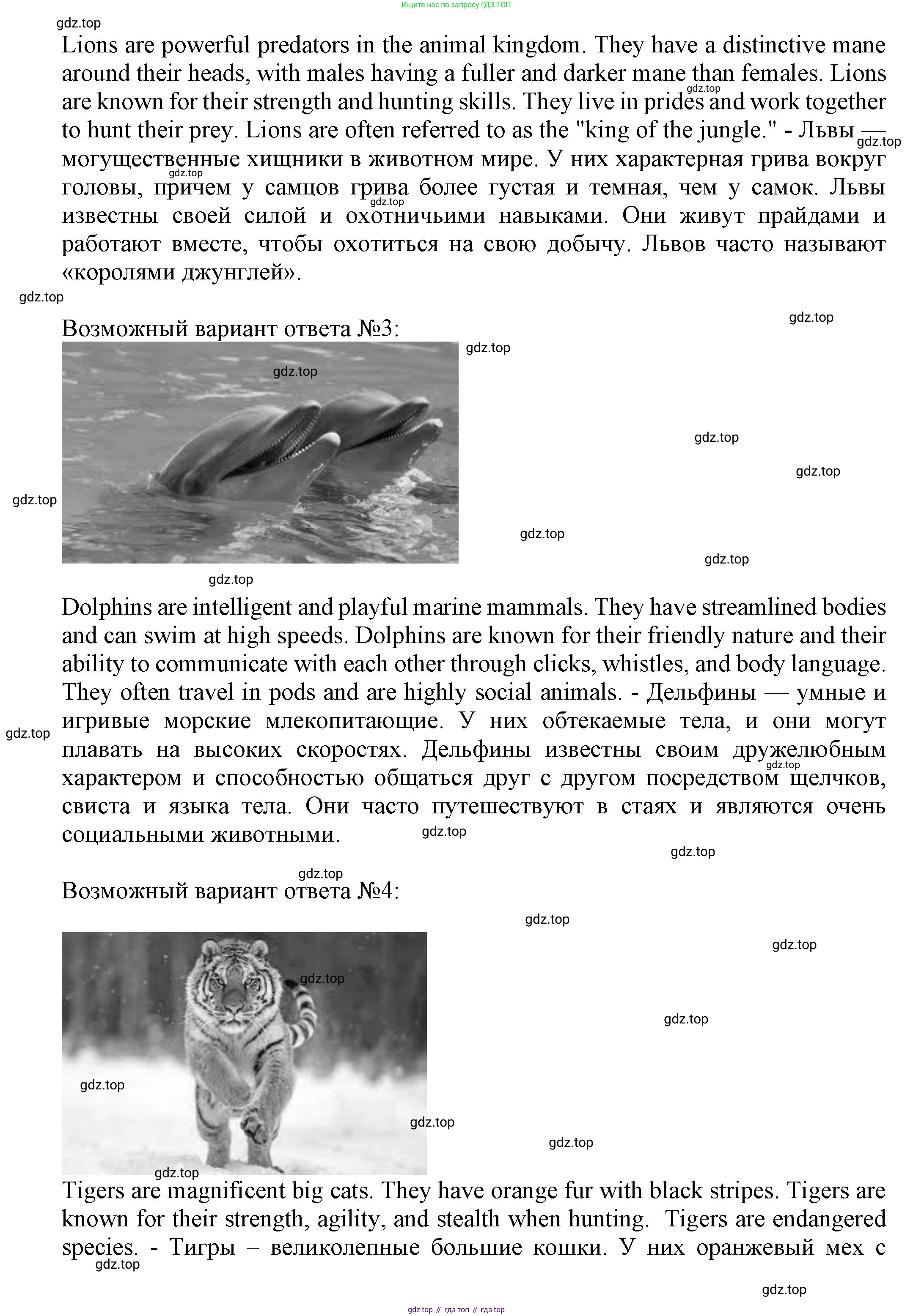 Английский язык (english), 5 класс Языковой портфель (my language portfolio), авторы: Ваулина Юлия Евгеньевна (Vaulina Julia), Дули Дженни (Dooley Jenny), Подоляко Ольга Евгеньевна (Podolyako Olga), Эванс Вирджиния (Evans Virginia), издательство Просвещение, Москва, 2011, серого цвета, страница 35, Решение (продолжение 2)