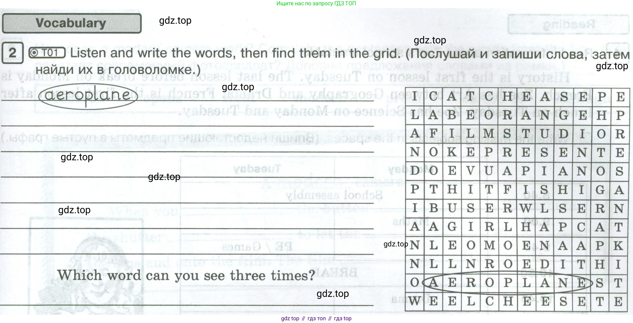 Английский язык (english), 5 класс Рабочая тетрадь (workbook), авторы: Вербицкая Мария Валерьевна (Verbitskaya Maria), Твердохлебова Ирина Петровна (Tverdohlebova Irina), Эббс Брайен (Abbs Brian), Уорелл Энн (Worrall Anne), Уорд Энн (Ward Ann), издательство Просвещение, Москва, 2023, страница 11, номер 2, Условие