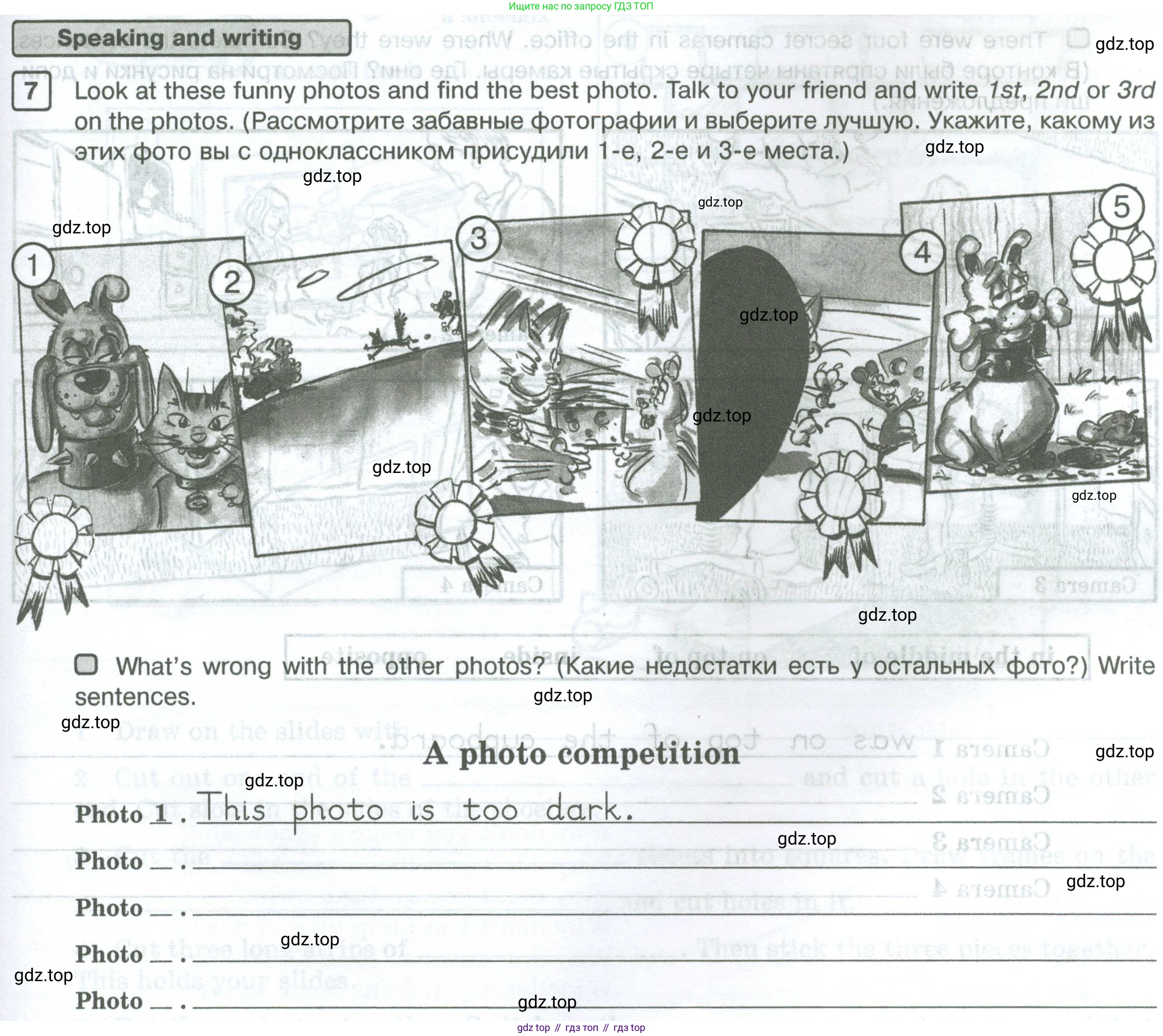 Английский язык (english), 5 класс Рабочая тетрадь (workbook), авторы: Вербицкая Мария Валерьевна (Verbitskaya Maria), Твердохлебова Ирина Петровна (Tverdohlebova Irina), Эббс Брайен (Abbs Brian), Уорелл Энн (Worrall Anne), Уорд Энн (Ward Ann), издательство Просвещение, Москва, 2023, страница 13, номер 7, Условие