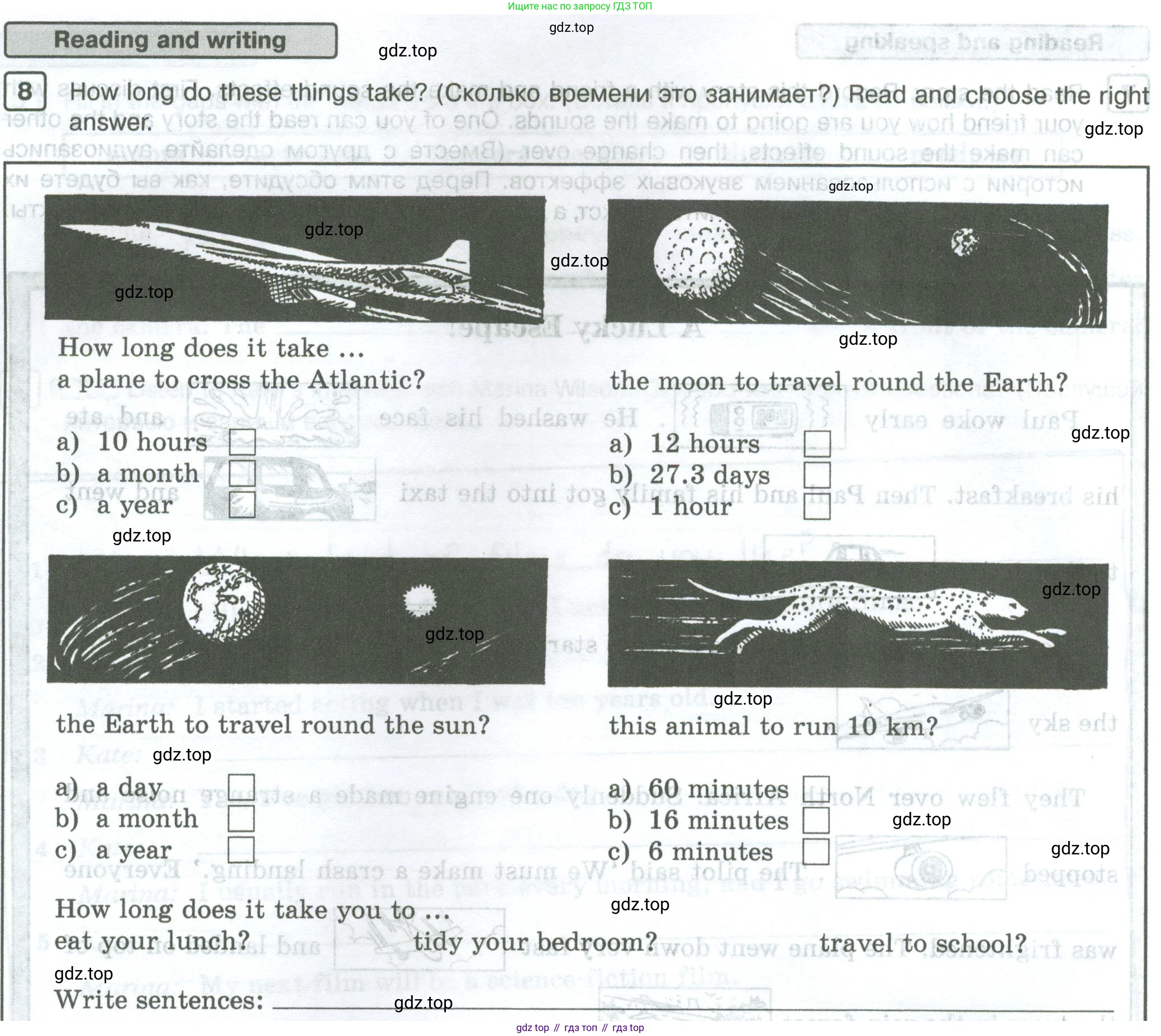 Английский язык (english), 5 класс Рабочая тетрадь (workbook), авторы: Вербицкая Мария Валерьевна (Verbitskaya Maria), Твердохлебова Ирина Петровна (Tverdohlebova Irina), Эббс Брайен (Abbs Brian), Уорелл Энн (Worrall Anne), Уорд Энн (Ward Ann), издательство Просвещение, Москва, 2023, страница 20, номер 8, Условие
