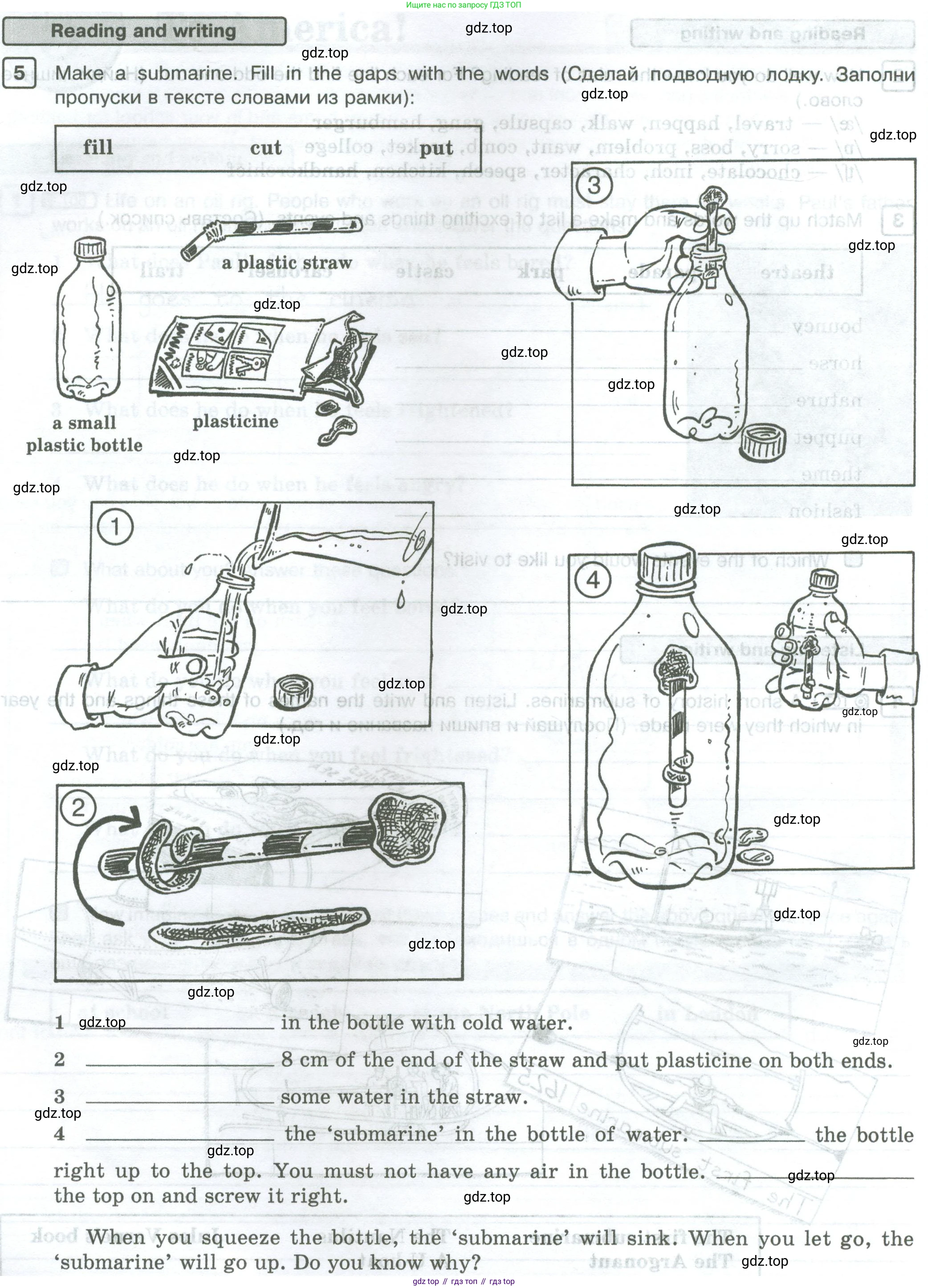 Английский язык (english), 5 класс Рабочая тетрадь (workbook), авторы: Вербицкая Мария Валерьевна (Verbitskaya Maria), Твердохлебова Ирина Петровна (Tverdohlebova Irina), Эббс Брайен (Abbs Brian), Уорелл Энн (Worrall Anne), Уорд Энн (Ward Ann), издательство Просвещение, Москва, 2023, страница 28, номер 5, Условие