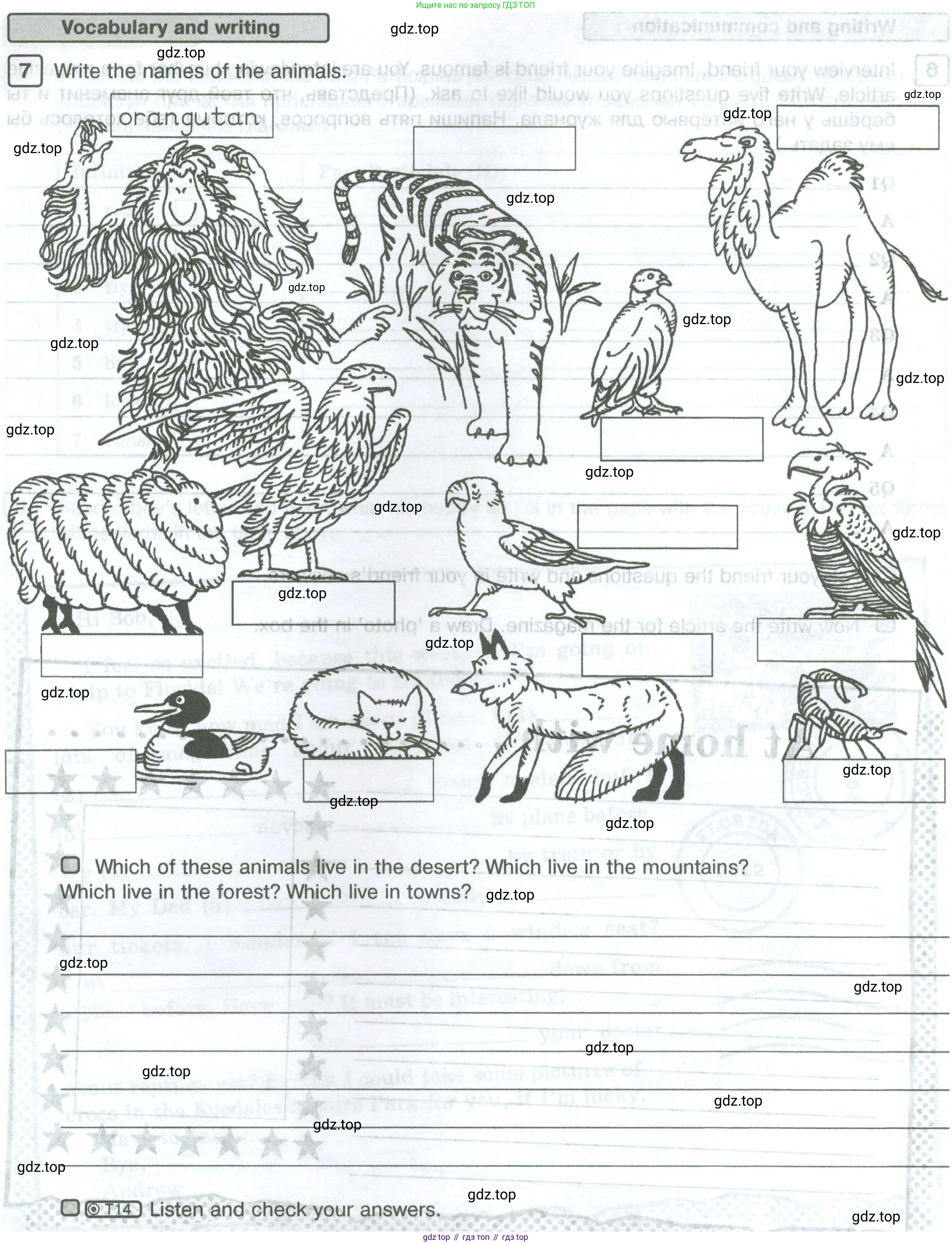 ГДЗ Английский язык (english), 5 класс Рабочая тетрадь (workbook), авторы: Вербицкая Мария Валерьевна (Verbitskaya Maria), Твердохлебова Ирина Петровна (Tverdohlebova Irina), Эббс Брайен (Abbs Brian), Уорелл Энн (Worrall Anne), Уорд Энн (Ward Ann), издательство Просвещение, Москва, 2023, страница 52, номер 7, Условие