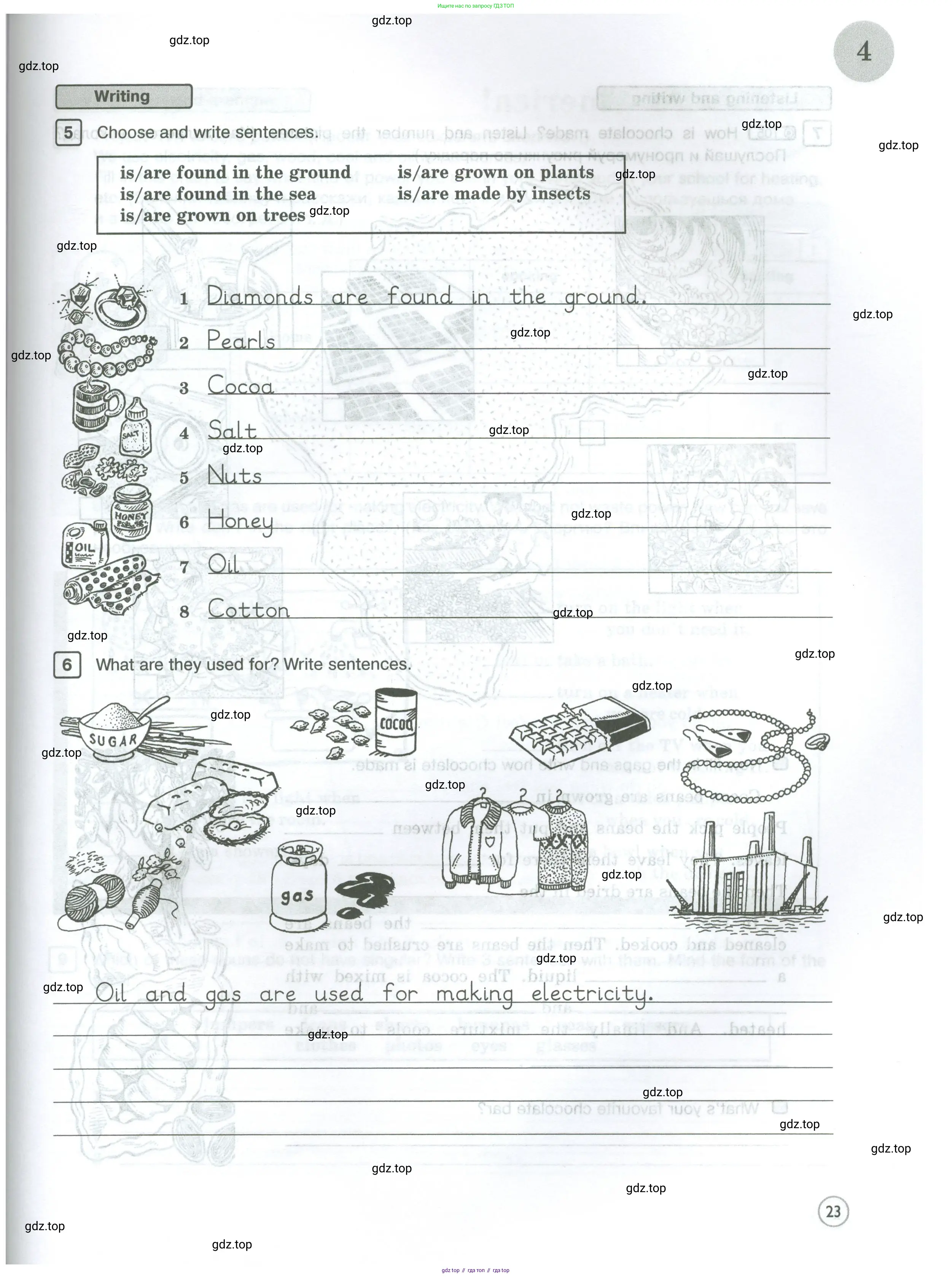 Английский язык (english), 5 класс Рабочая тетрадь (workbook), авторы: Вербицкая Мария Валерьевна (Verbitskaya Maria), Твердохлебова Ирина Петровна (Tverdohlebova Irina), Эббс Брайен (Abbs Brian), Уорелл Энн (Worrall Anne), Уорд Энн (Ward Ann), издательство Просвещение, Москва, 2023, страница 23