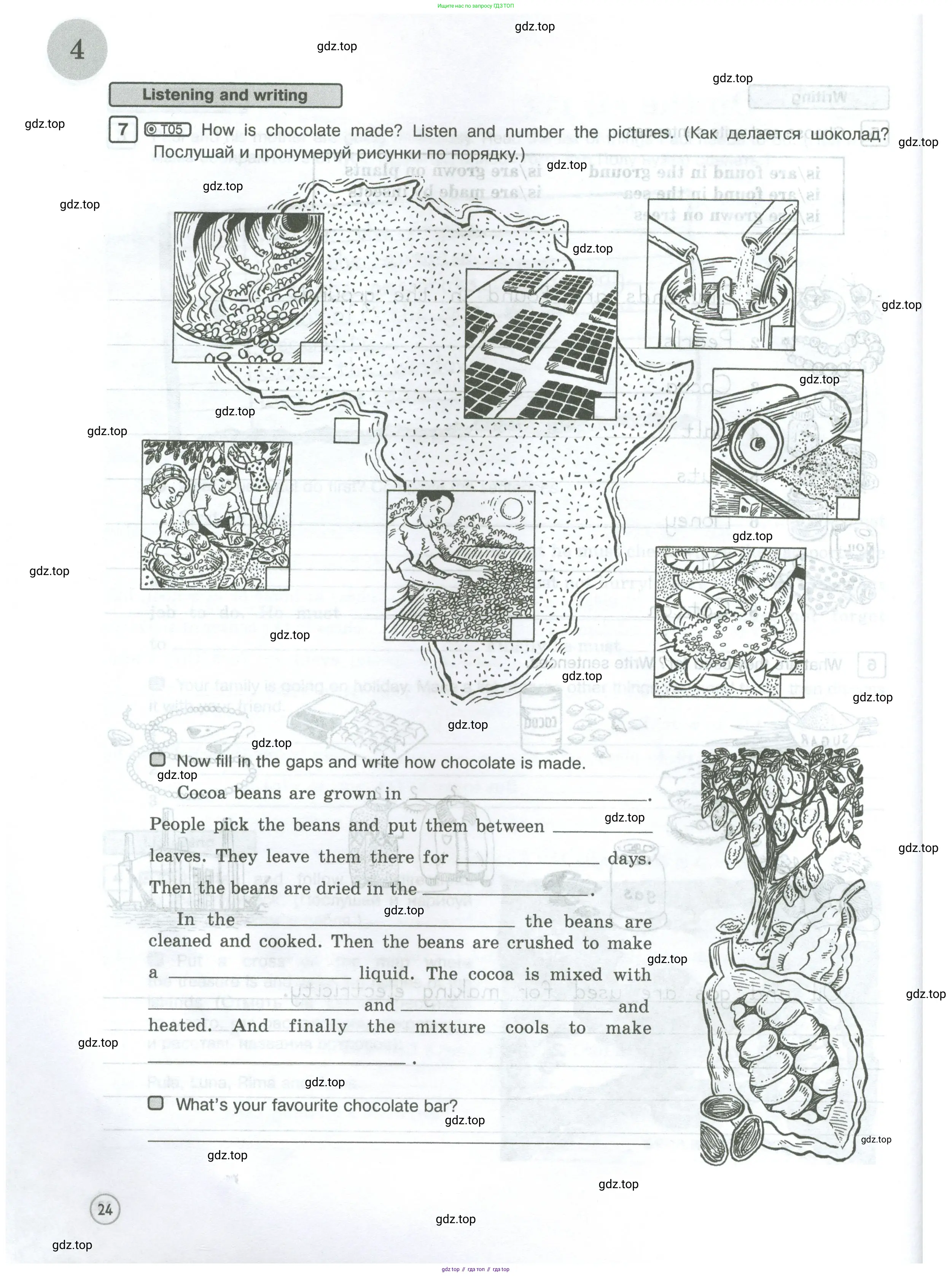 Английский язык (english), 5 класс Рабочая тетрадь (workbook), авторы: Вербицкая Мария Валерьевна (Verbitskaya Maria), Твердохлебова Ирина Петровна (Tverdohlebova Irina), Эббс Брайен (Abbs Brian), Уорелл Энн (Worrall Anne), Уорд Энн (Ward Ann), издательство Просвещение, Москва, 2023, страница 24