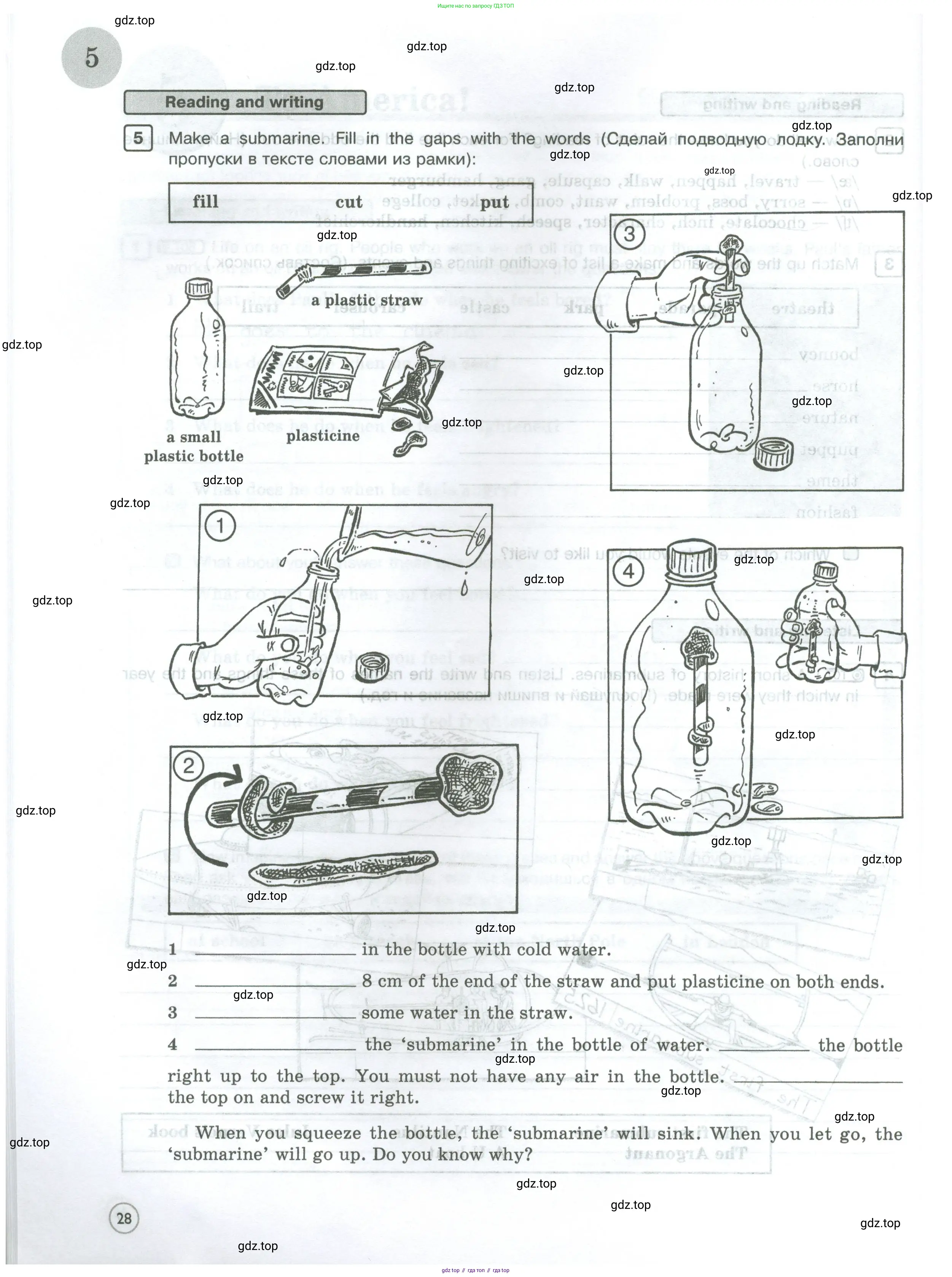 Английский язык (english), 5 класс Рабочая тетрадь (workbook), авторы: Вербицкая Мария Валерьевна (Verbitskaya Maria), Твердохлебова Ирина Петровна (Tverdohlebova Irina), Эббс Брайен (Abbs Brian), Уорелл Энн (Worrall Anne), Уорд Энн (Ward Ann), издательство Просвещение, Москва, 2023, страница 28