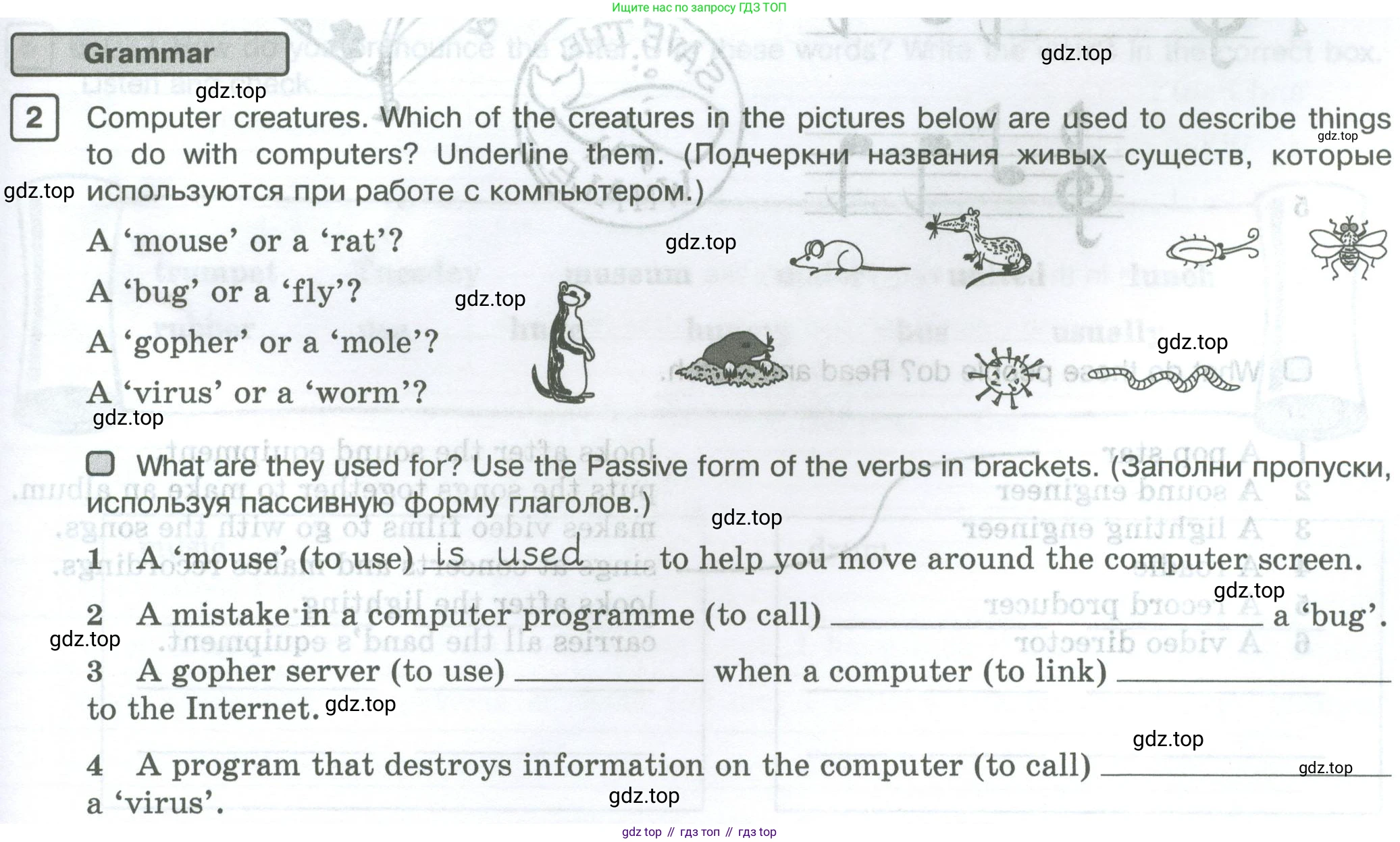 Английский язык (english), 5 класс Рабочая тетрадь (workbook), авторы: Вербицкая Мария Валерьевна (Verbitskaya Maria), Твердохлебова Ирина Петровна (Tverdohlebova Irina), Эббс Брайен (Abbs Brian), Уорелл Энн (Worrall Anne), Уорд Энн (Ward Ann), издательство Просвещение, Москва, 2023, страница 55, номер 2, Условие