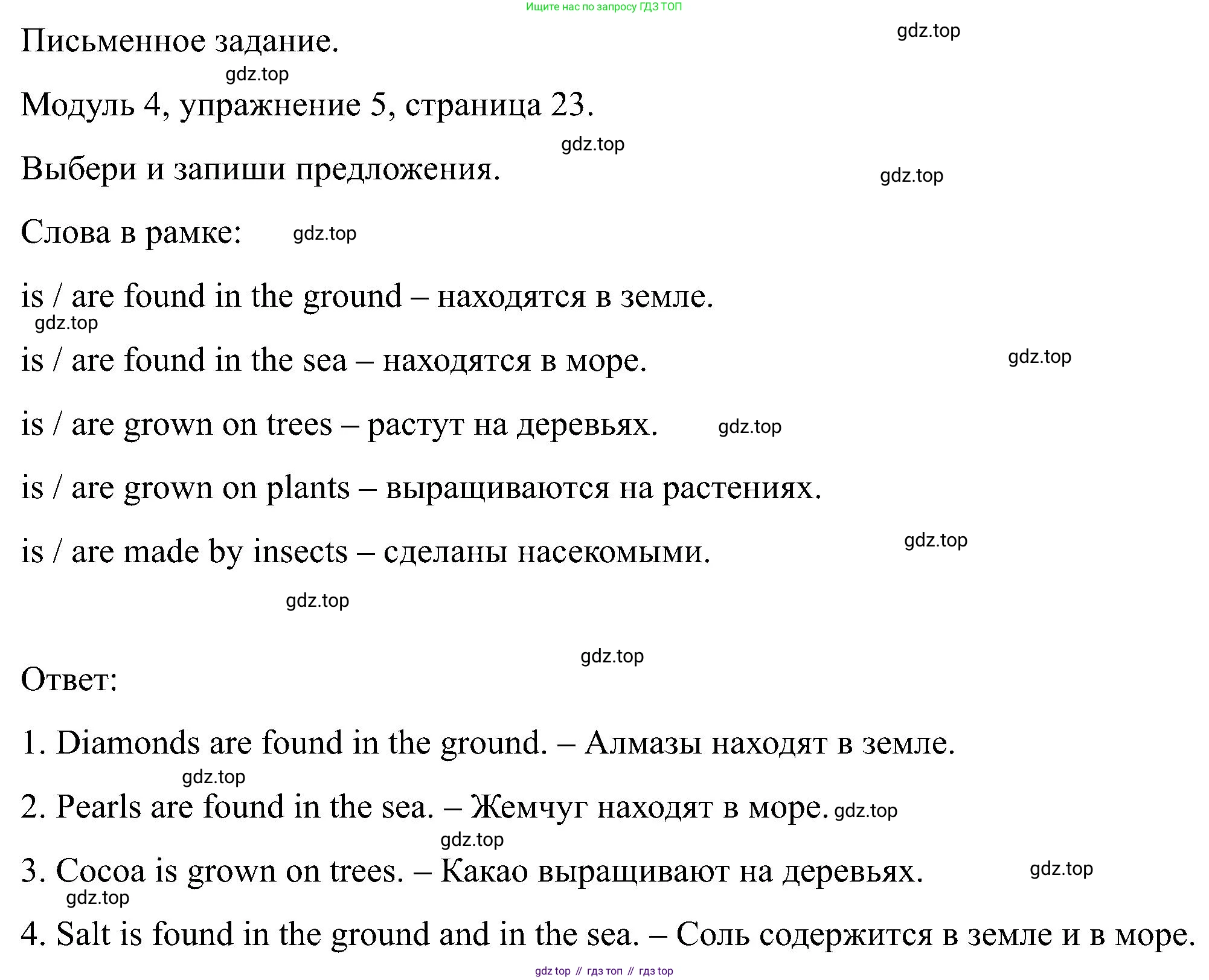 Английский язык (english), 5 класс Рабочая тетрадь (workbook), авторы: Вербицкая Мария Валерьевна (Verbitskaya Maria), Твердохлебова Ирина Петровна (Tverdohlebova Irina), Эббс Брайен (Abbs Brian), Уорелл Энн (Worrall Anne), Уорд Энн (Ward Ann), издательство Просвещение, Москва, 2023, страница 23, номер 5, Решение