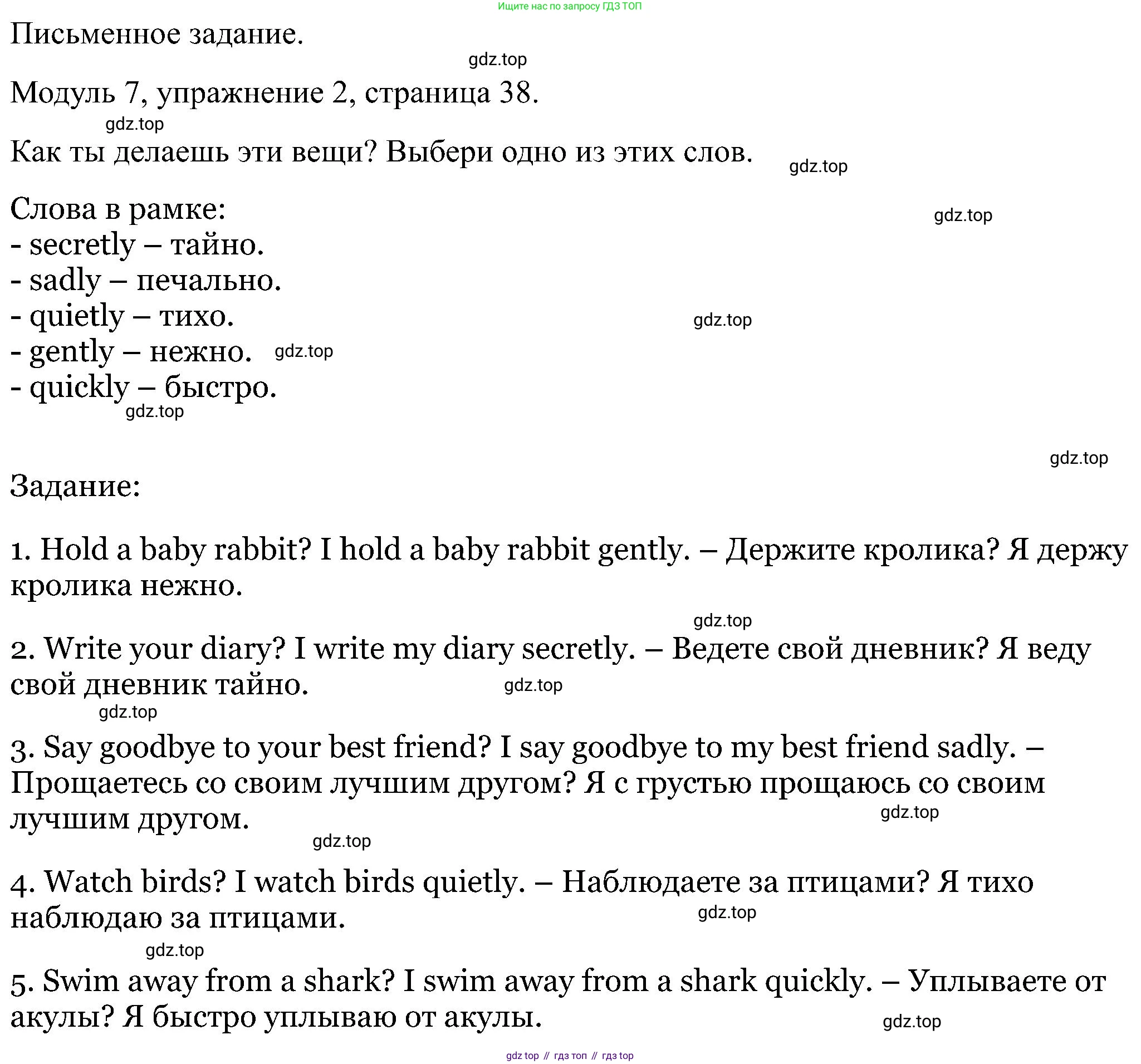 Английский язык (english), 5 класс Рабочая тетрадь (workbook), авторы: Вербицкая Мария Валерьевна (Verbitskaya Maria), Твердохлебова Ирина Петровна (Tverdohlebova Irina), Эббс Брайен (Abbs Brian), Уорелл Энн (Worrall Anne), Уорд Энн (Ward Ann), издательство Просвещение, Москва, 2023, страница 38, номер 2, Решение