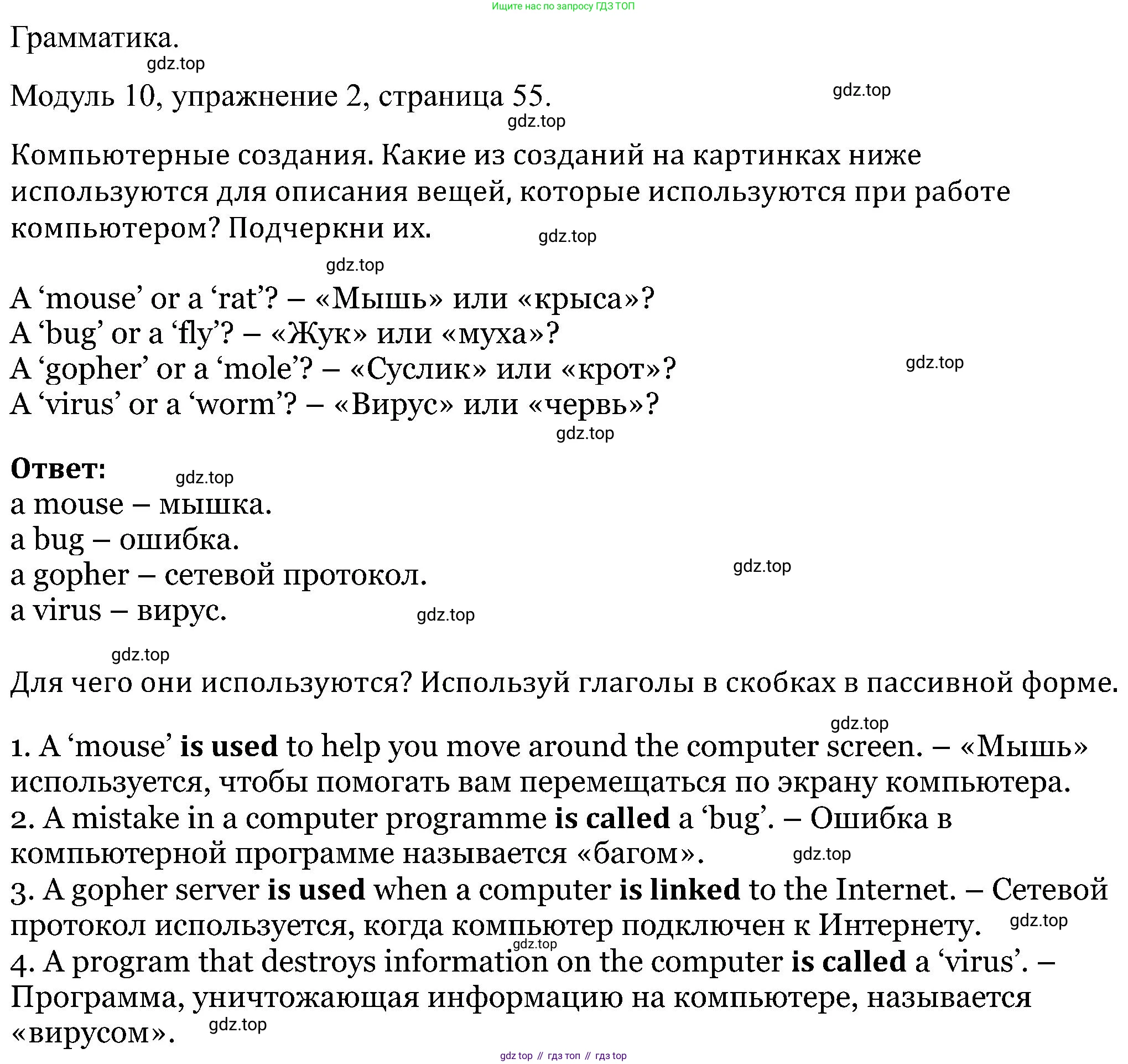 Английский язык (english), 5 класс Рабочая тетрадь (workbook), авторы: Вербицкая Мария Валерьевна (Verbitskaya Maria), Твердохлебова Ирина Петровна (Tverdohlebova Irina), Эббс Брайен (Abbs Brian), Уорелл Энн (Worrall Anne), Уорд Энн (Ward Ann), издательство Просвещение, Москва, 2023, страница 55, номер 2, Решение