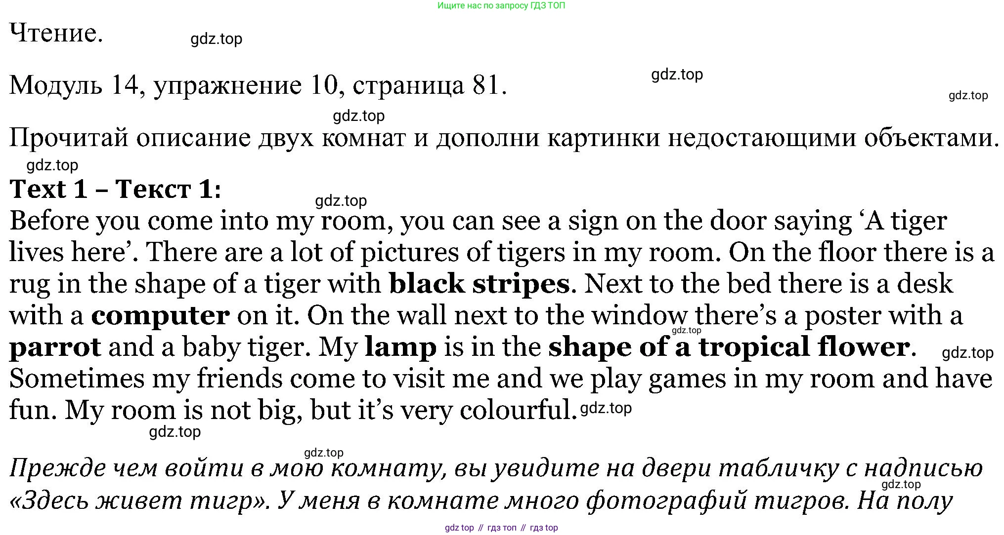 Английский язык (english), 5 класс Рабочая тетрадь (workbook), авторы: Вербицкая Мария Валерьевна (Verbitskaya Maria), Твердохлебова Ирина Петровна (Tverdohlebova Irina), Эббс Брайен (Abbs Brian), Уорелл Энн (Worrall Anne), Уорд Энн (Ward Ann), издательство Просвещение, Москва, 2023, страница 81, номер 10, Решение
