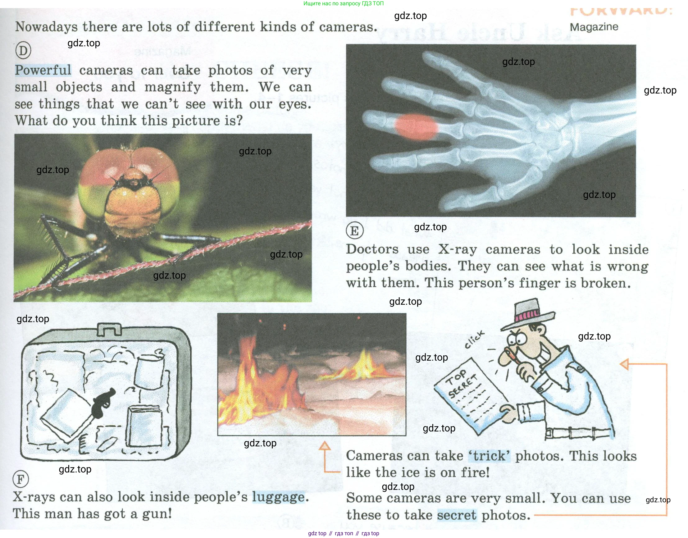 ГДЗ Английский язык (english), 5 класс Учебник (Student's book), авторы: Вербицкая Мария Валерьевна (Verbitskaya Maria), Эббс Брайен (Abbs Brian), Уорелл Энн (Worrall Anne), Уорд Энн (Ward Ann), издательство Просвещение, Москва, 2023, Часть ( Part) 1, страница 20, номер 19, Условие (продолжение 2)