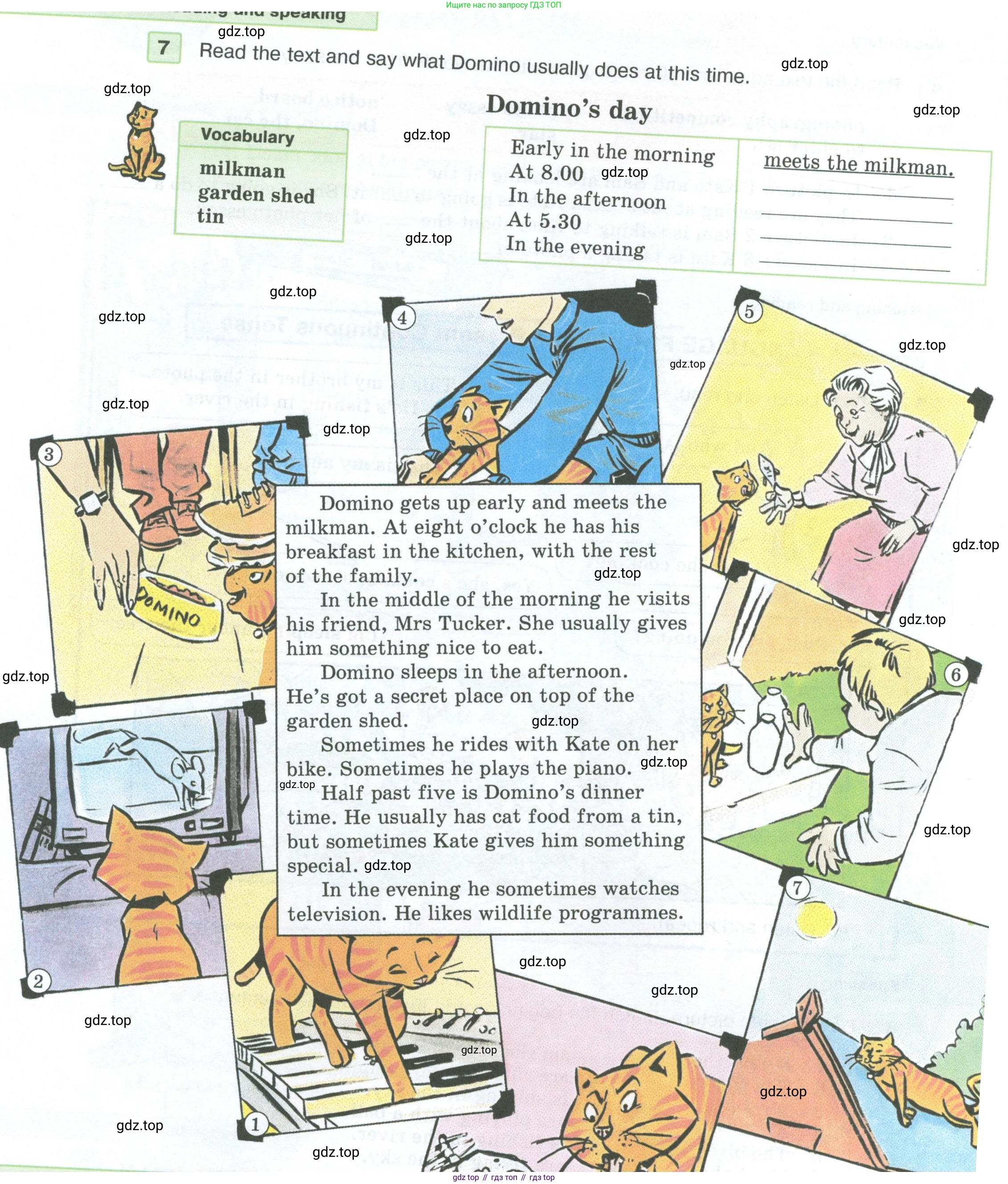 ГДЗ Английский язык (english), 5 класс Учебник (Student's book), авторы: Вербицкая Мария Валерьевна (Verbitskaya Maria), Эббс Брайен (Abbs Brian), Уорелл Энн (Worrall Anne), Уорд Энн (Ward Ann), издательство Просвещение, Москва, 2023, Часть ( Part) 1, страница 16, номер 7, Условие