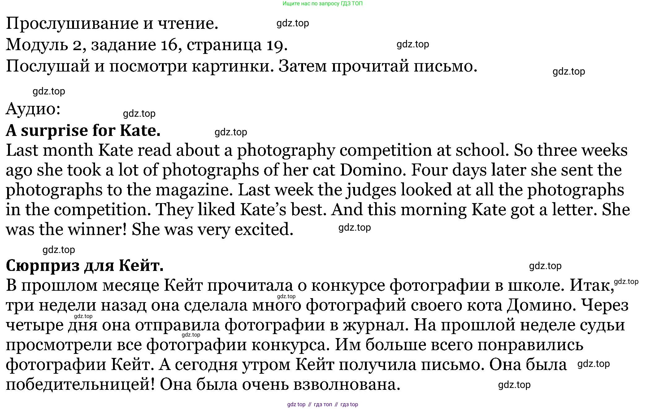 ГДЗ Английский язык (english), 5 класс Учебник (Student's book), авторы: Вербицкая Мария Валерьевна (Verbitskaya Maria), Эббс Брайен (Abbs Brian), Уорелл Энн (Worrall Anne), Уорд Энн (Ward Ann), издательство Просвещение, Москва, 2023, Часть ( Part) 1, страница 19, номер 16, Решение