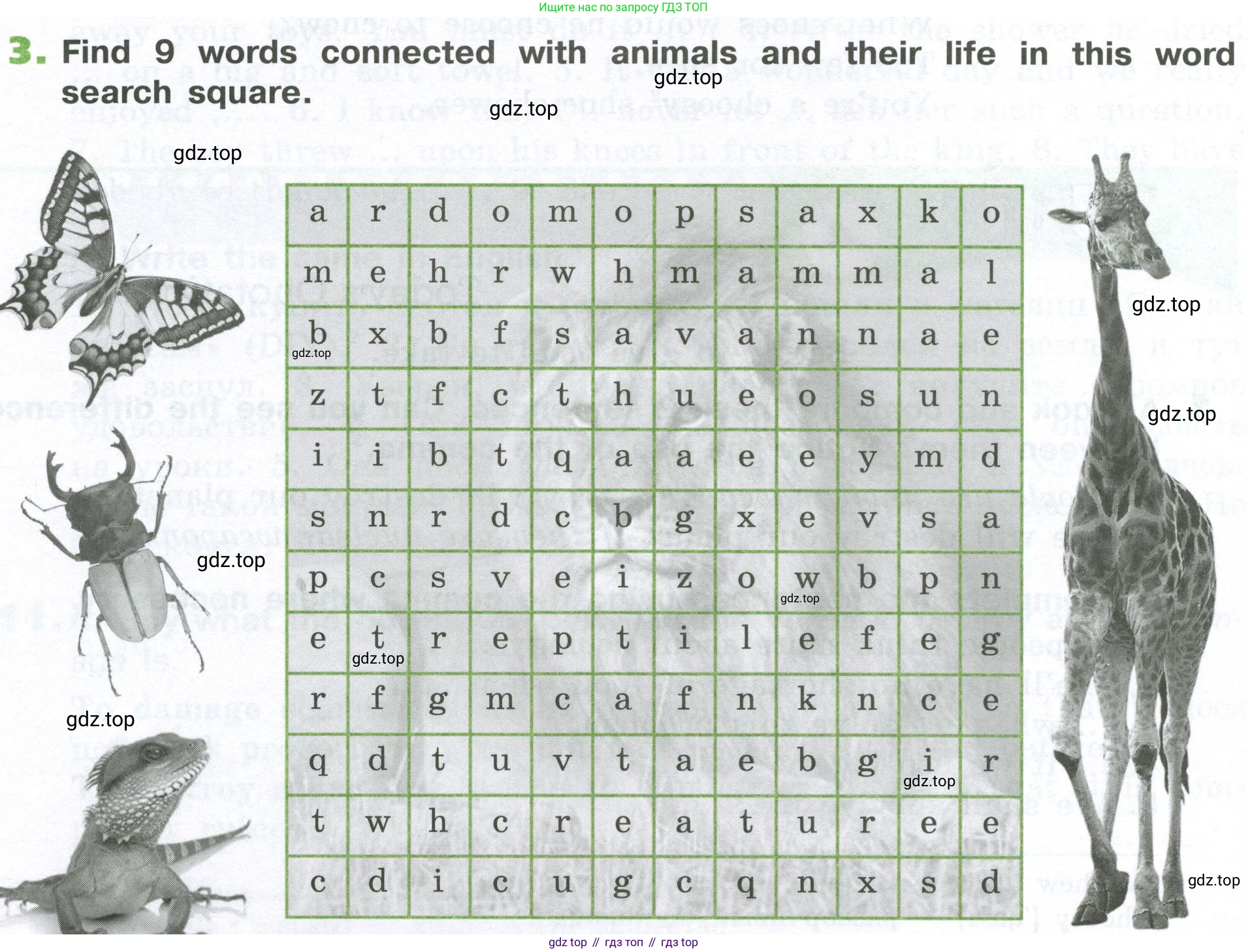 ГДЗ Английский язык (english), 6 класс рабочая тетрадь (activity book), авторы: Афанасьева Ольга Васильевна (Afanasyeva Olga), Михеева Ирина Владимировна (Mikheeva Irina), издательство Просвещение, Москва, 2023, зелёного цвета, страница 18, номер 3, Условие