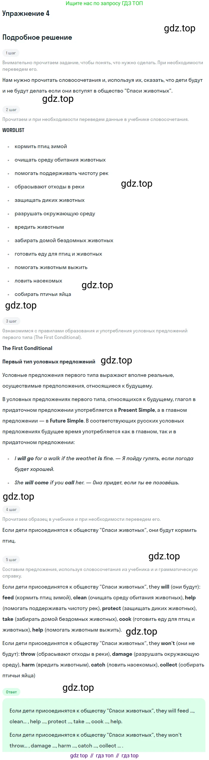 ГДЗ Английский язык (english), 6 класс рабочая тетрадь (activity book), авторы: Афанасьева Ольга Васильевна (Afanasyeva Olga), Михеева Ирина Владимировна (Mikheeva Irina), издательство Просвещение, Москва, 2023, зелёного цвета, страница 19, номер 4, Решение 2