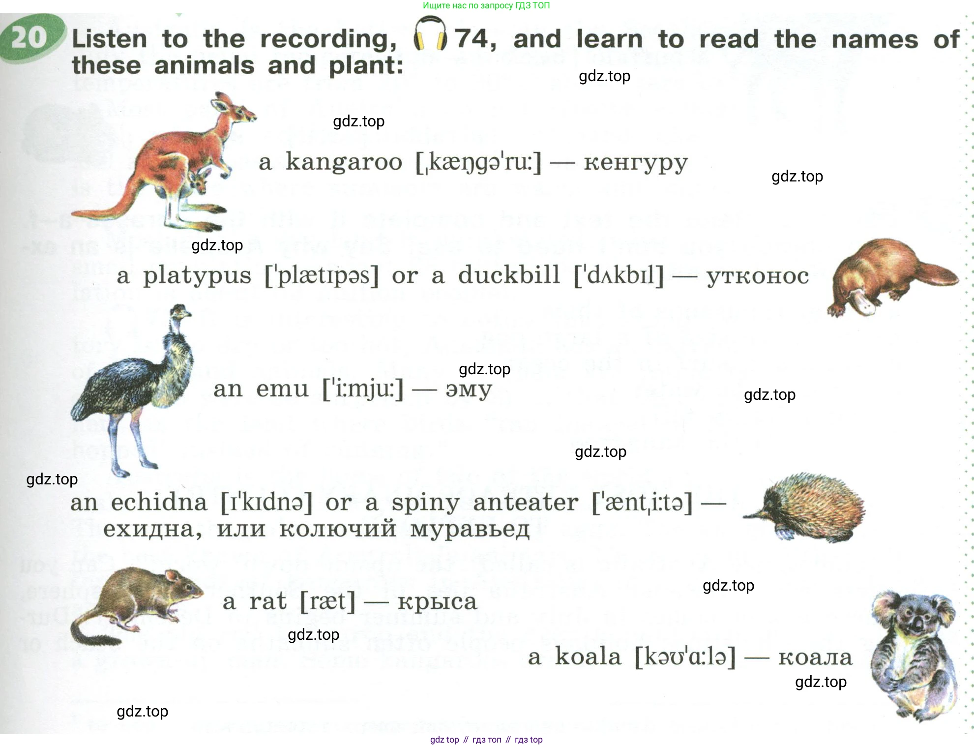 ГДЗ Английский язык (english), 6 класс Учебник (Student's book), авторы: Афанасьева Ольга Васильевна (Afanasyeva Olga), Михеева Ирина Владимировна (Mikheeva Irina), издательство Просвещение, Москва, зелёного цвета, Часть ( Part) 2, страница 151, номер 20, Условие
