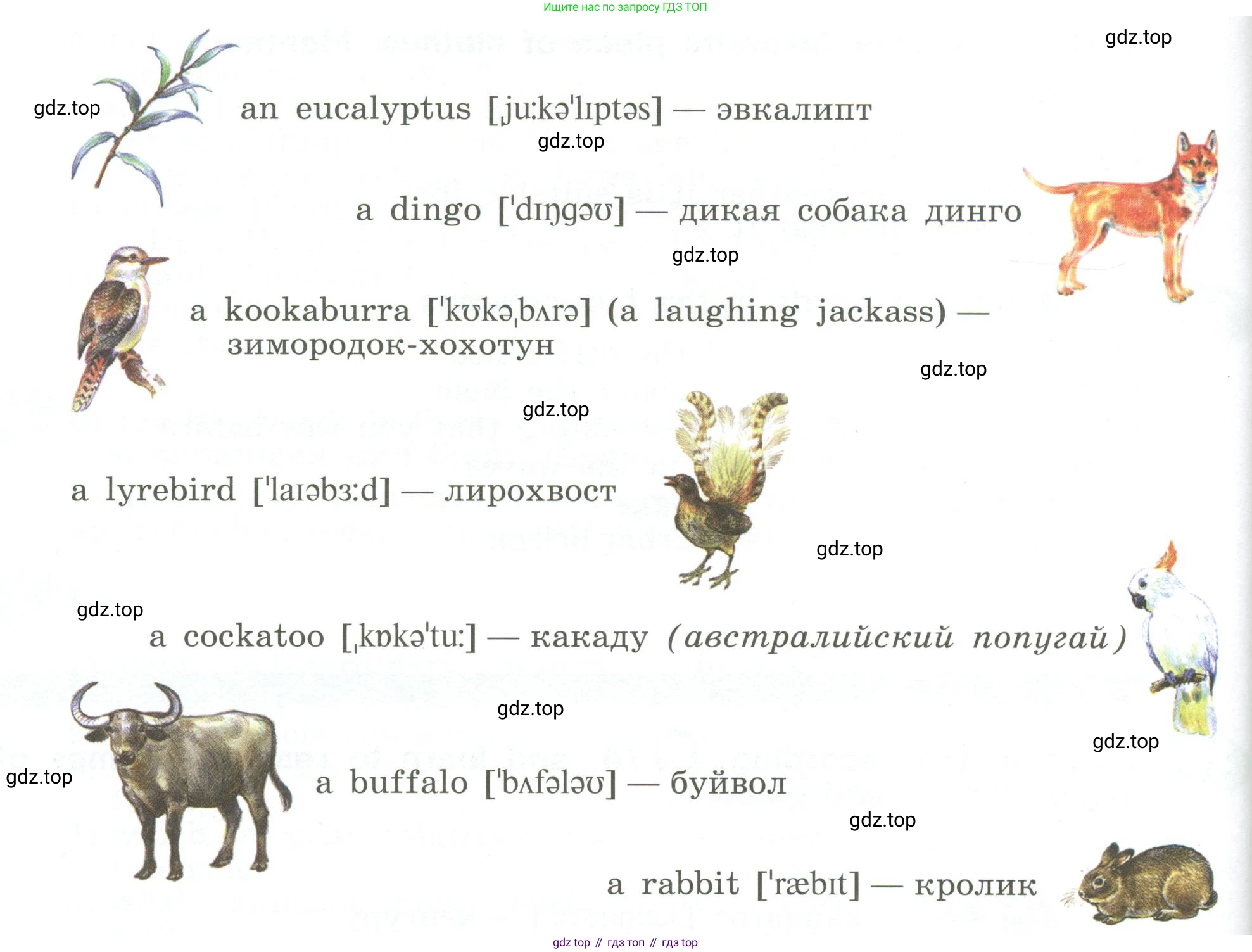ГДЗ Английский язык (english), 6 класс Учебник (Student's book), авторы: Афанасьева Ольга Васильевна (Afanasyeva Olga), Михеева Ирина Владимировна (Mikheeva Irina), издательство Просвещение, Москва, зелёного цвета, Часть ( Part) 2, страница 151, номер 20, Условие (продолжение 2)