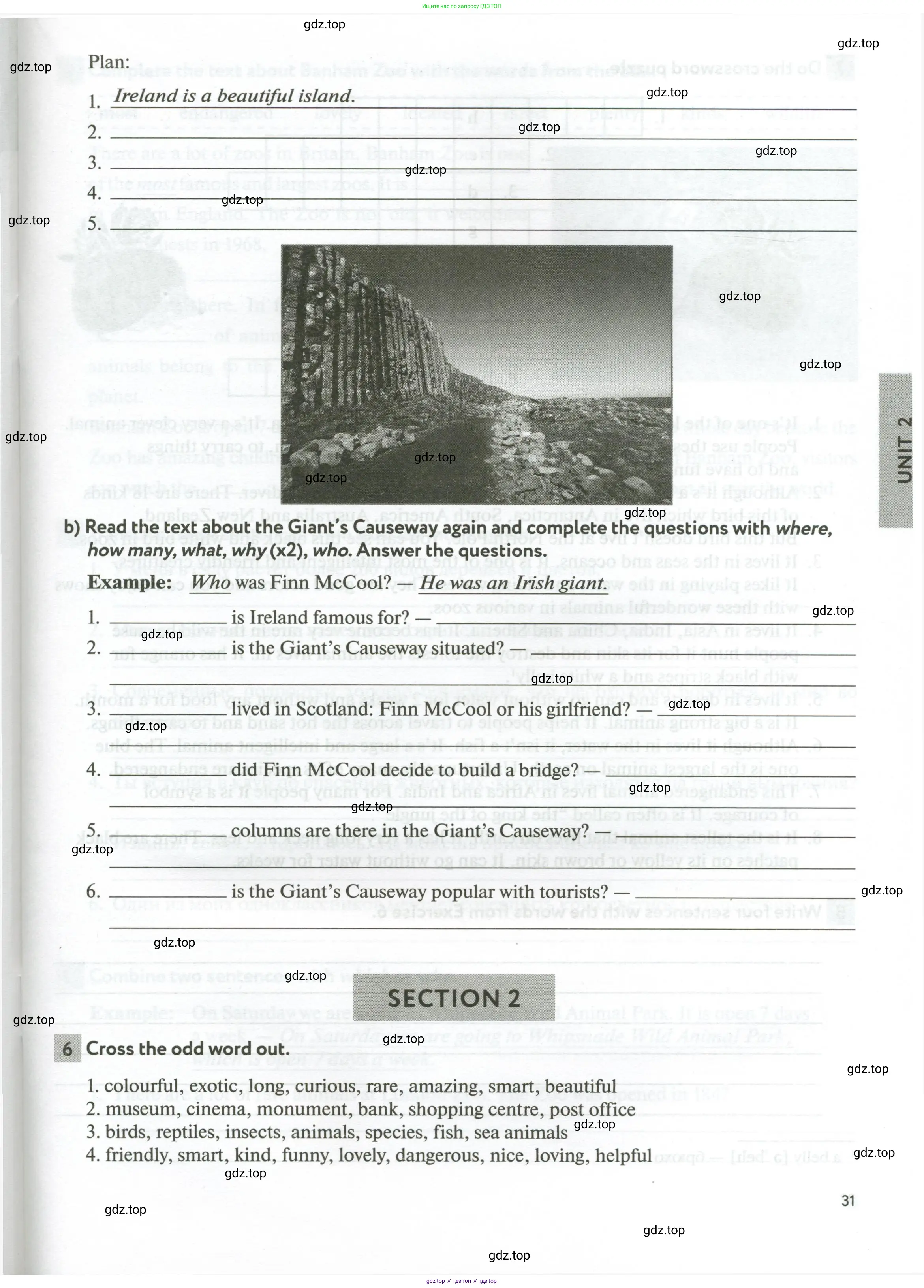 Английский язык (english), 6 класс рабочая тетрадь с контрольными работами (workbook + tests), авторы: Биболетова Мерем Забатовна, Денисенко Ольга Анатольевна, Трубанева Наталия Николаевна, издательство Просвещение, Москва, 2023, страница 31