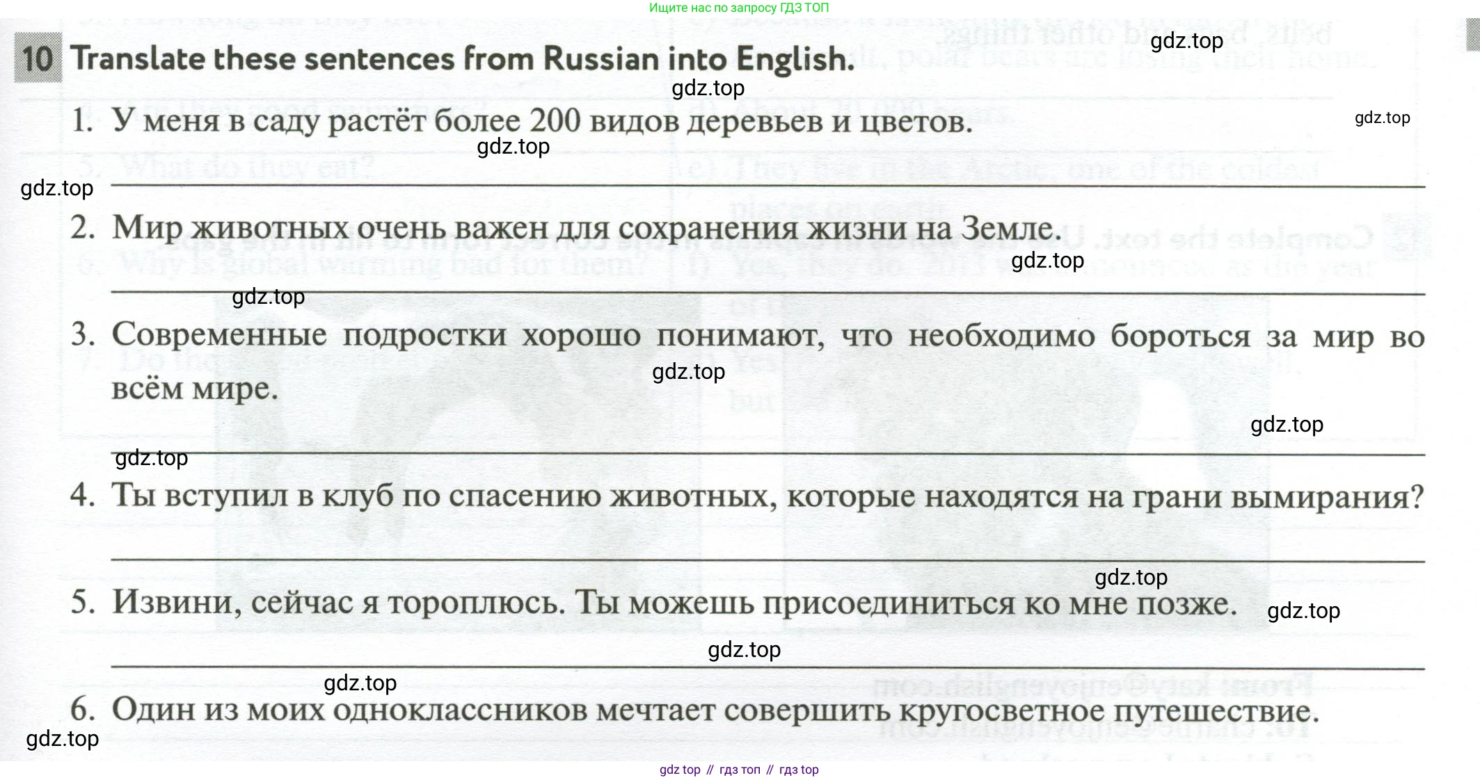 ГДЗ Английский язык (english), 6 класс рабочая тетрадь с контрольными работами (workbook + tests), авторы: Биболетова Мерем Забатовна, Денисенко Ольга Анатольевна, Трубанева Наталия Николаевна, издательство Просвещение, Москва, 2023, страница 33, номер 10, Условие