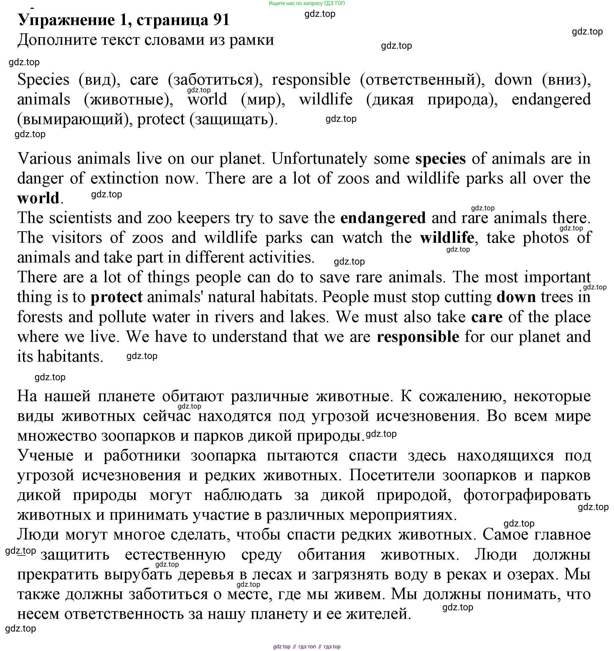 ГДЗ Английский язык (english), 6 класс рабочая тетрадь с контрольными работами (workbook + tests), авторы: Биболетова Мерем Забатовна, Денисенко Ольга Анатольевна, Трубанева Наталия Николаевна, издательство Просвещение, Москва, 2023, страница 91, номер 1, Решение