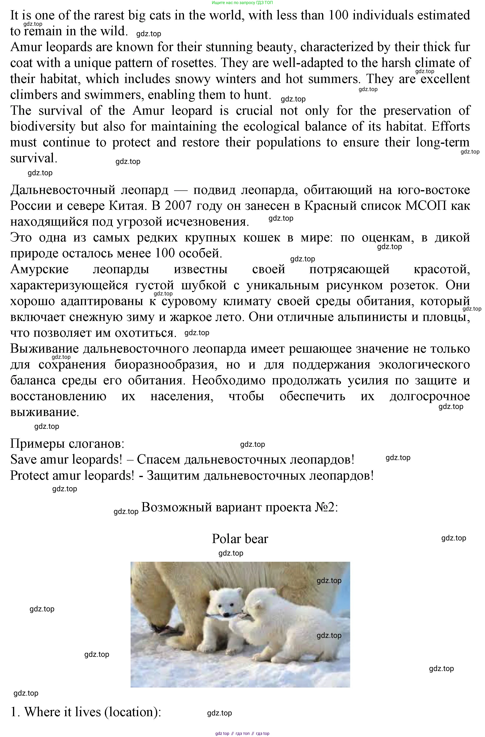 ГДЗ Английский язык (english), 6 класс рабочая тетрадь с контрольными работами (workbook + tests), авторы: Биболетова Мерем Забатовна, Денисенко Ольга Анатольевна, Трубанева Наталия Николаевна, издательство Просвещение, Москва, 2023, страница 48, Решение (продолжение 2)