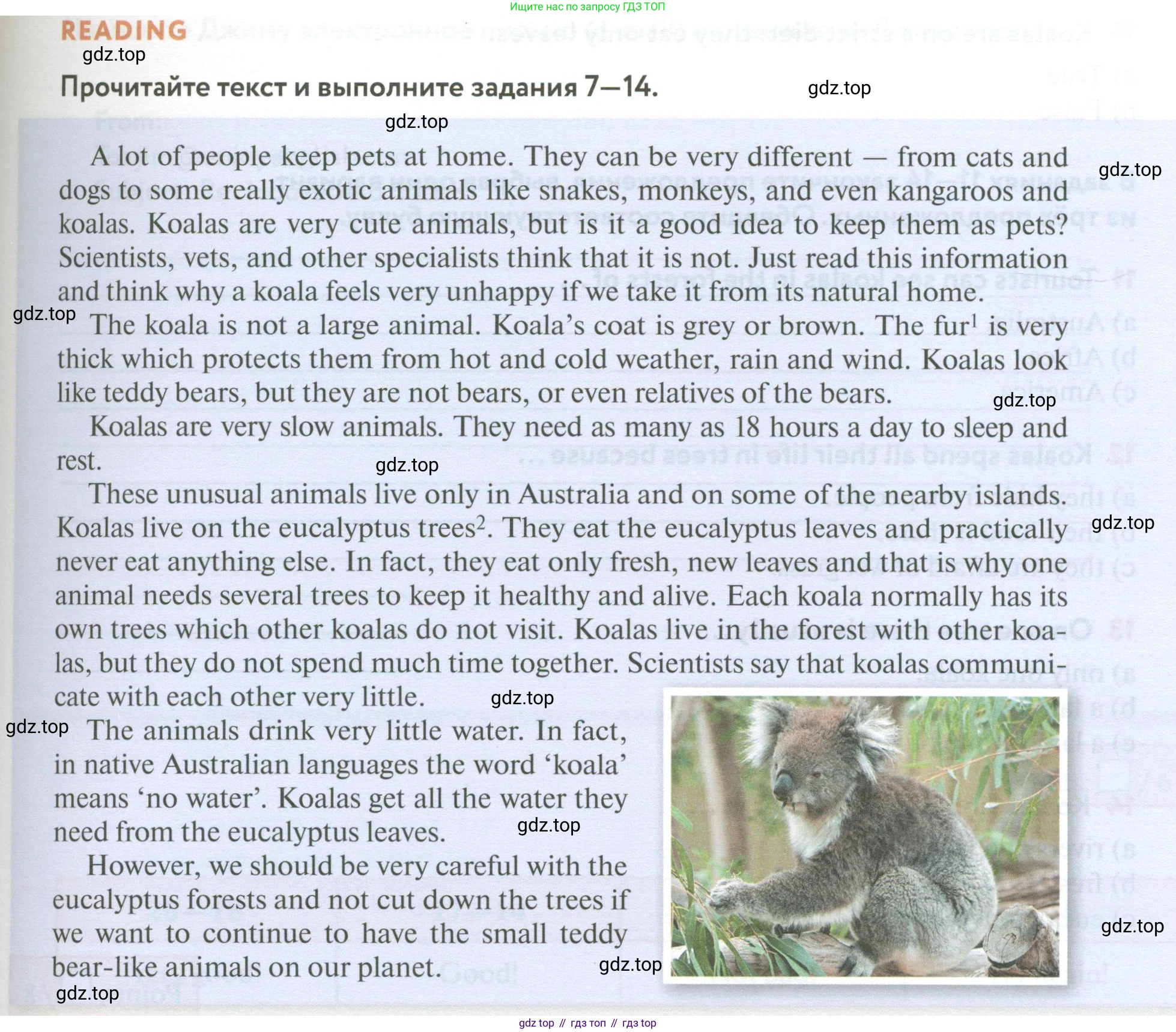 ГДЗ Английский язык (english), 6 класс Учебник (Student's book), авторы: Биболетова Мерем Забатовна, Денисенко Ольга Анатольевна, Трубанева Наталия Николаевна, издательство Просвещение, Москва, 2023, страница 81, номер 7, Условие