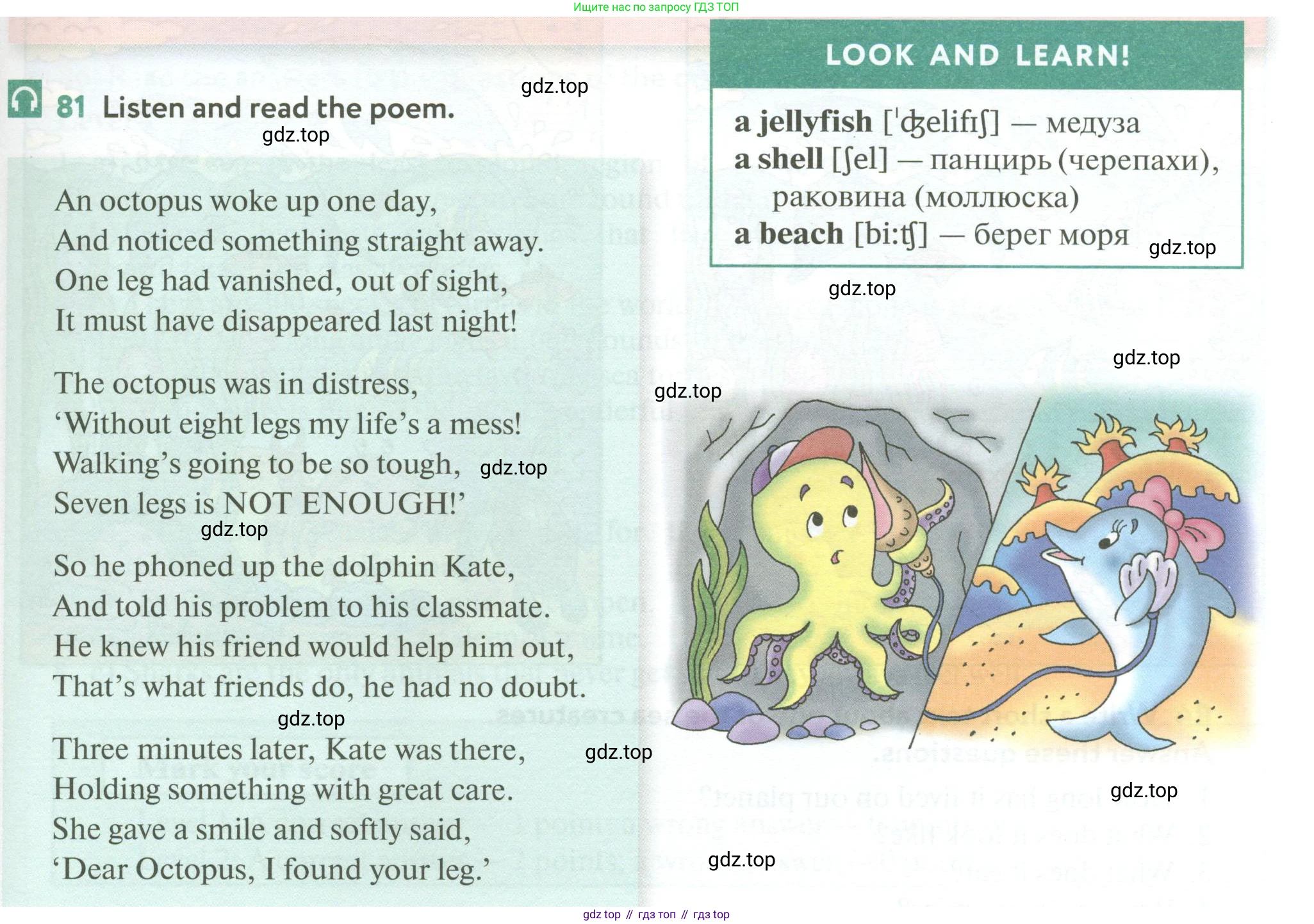 ГДЗ Английский язык (english), 6 класс Учебник (Student's book), авторы: Биболетова Мерем Забатовна, Денисенко Ольга Анатольевна, Трубанева Наталия Николаевна, издательство Просвещение, Москва, 2023, страница 169, номер 81, Условие