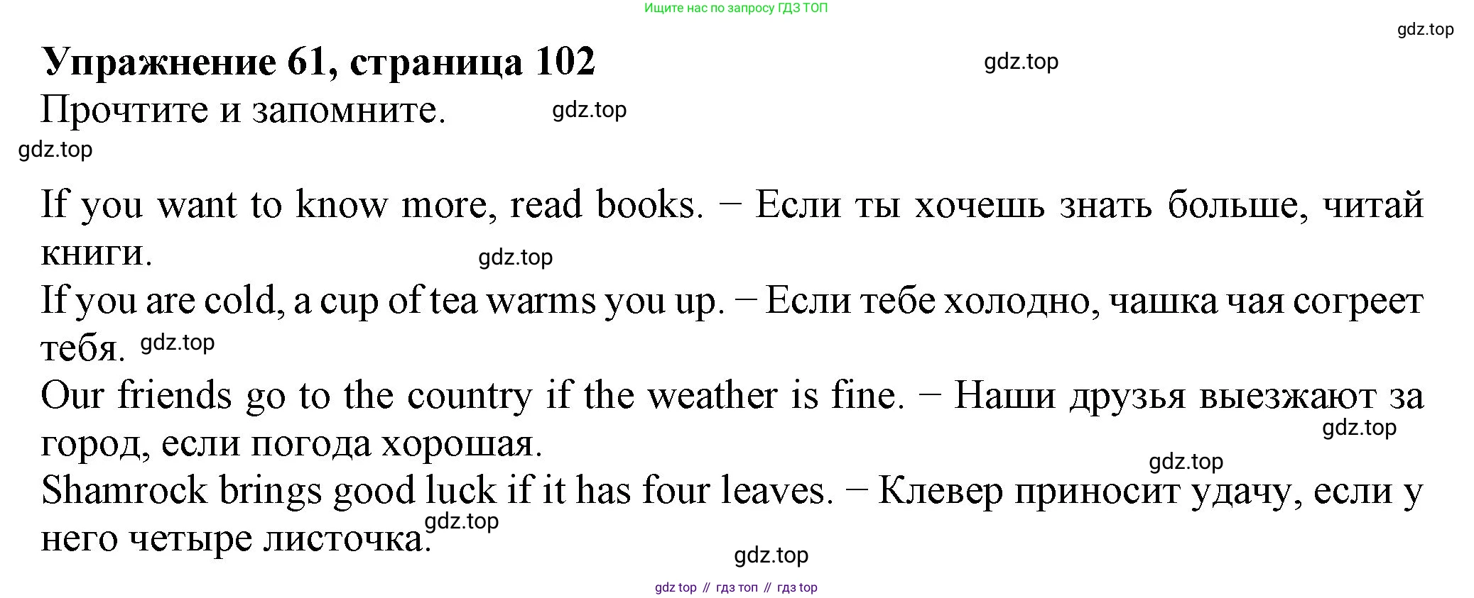 ГДЗ Английский язык (english), 6 класс Учебник (Student's book), авторы: Биболетова Мерем Забатовна, Денисенко Ольга Анатольевна, Трубанева Наталия Николаевна, издательство Просвещение, Москва, 2023, страница 102, номер 61, Решение