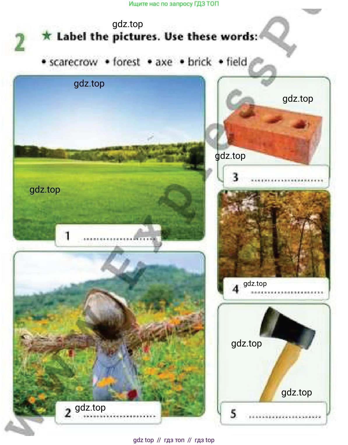 Английский язык (english), 6 класс Рабочая тетрадь (workbook), авторы: Эванс Вирджиния (Evans Virginia), Дули Дженни (Dooley Jenny), Оби Боб (Obee Bob), Мухамеджанова Наталья (Mukhamedjanova Natalya), издательство Express Publishing, Алматы, 2017, зелёного цвета, страница 52, номер 2, Условие