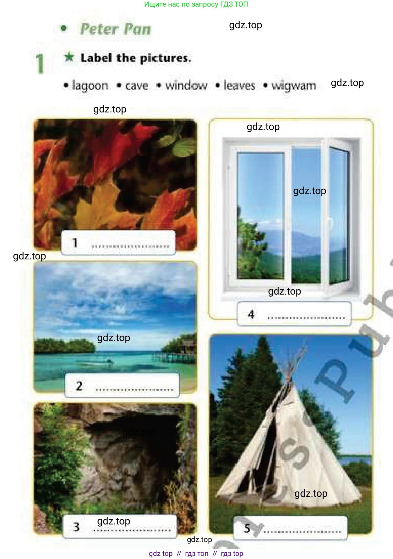 Английский язык (english), 6 класс Рабочая тетрадь (workbook), авторы: Эванс Вирджиния (Evans Virginia), Дули Дженни (Dooley Jenny), Оби Боб (Obee Bob), Мухамеджанова Наталья (Mukhamedjanova Natalya), издательство Express Publishing, Алматы, 2017, зелёного цвета, страница 53, номер 1, Условие