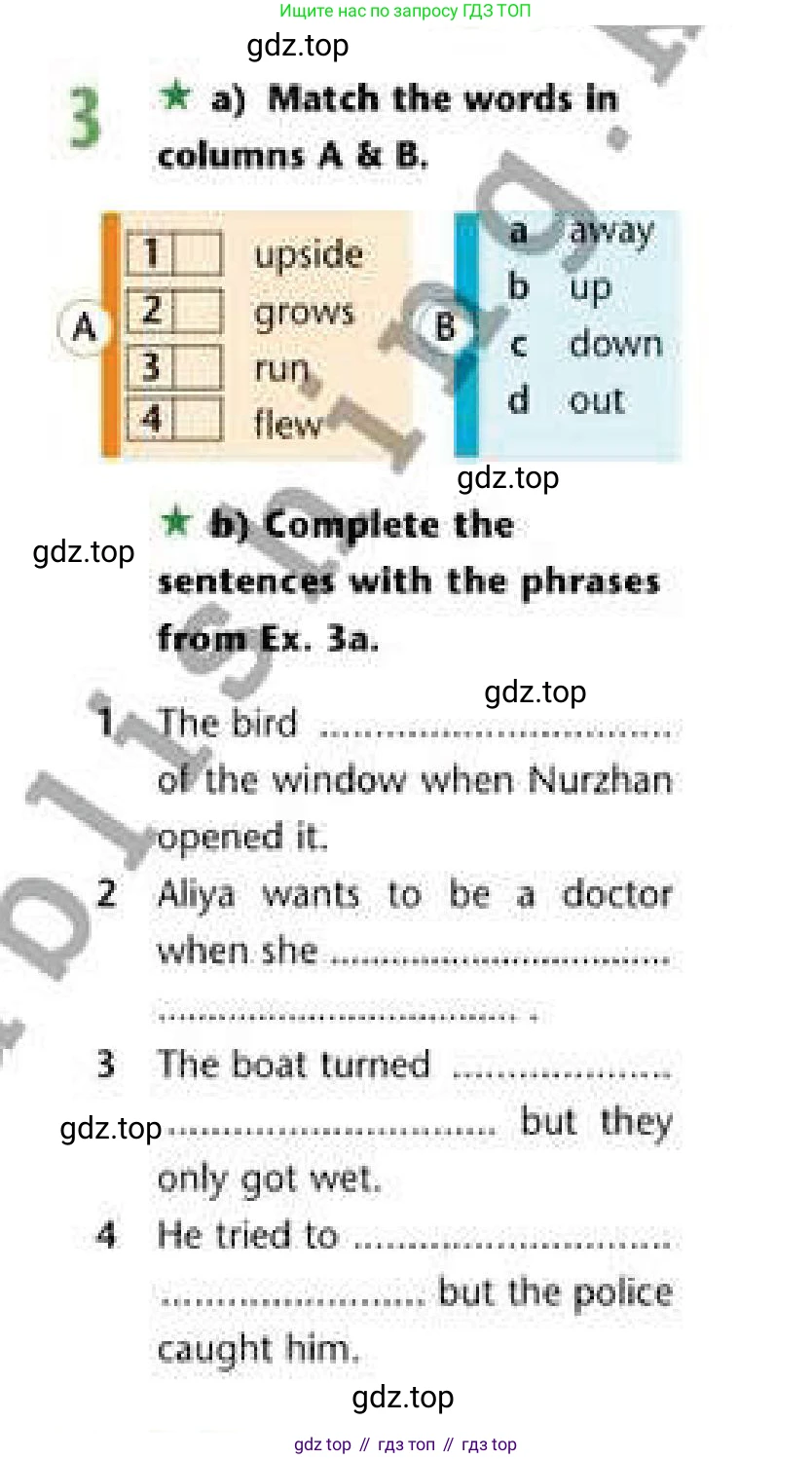 Английский язык (english), 6 класс Рабочая тетрадь (workbook), авторы: Эванс Вирджиния (Evans Virginia), Дули Дженни (Dooley Jenny), Оби Боб (Obee Bob), Мухамеджанова Наталья (Mukhamedjanova Natalya), издательство Express Publishing, Алматы, 2017, зелёного цвета, страница 53, номер 3, Условие