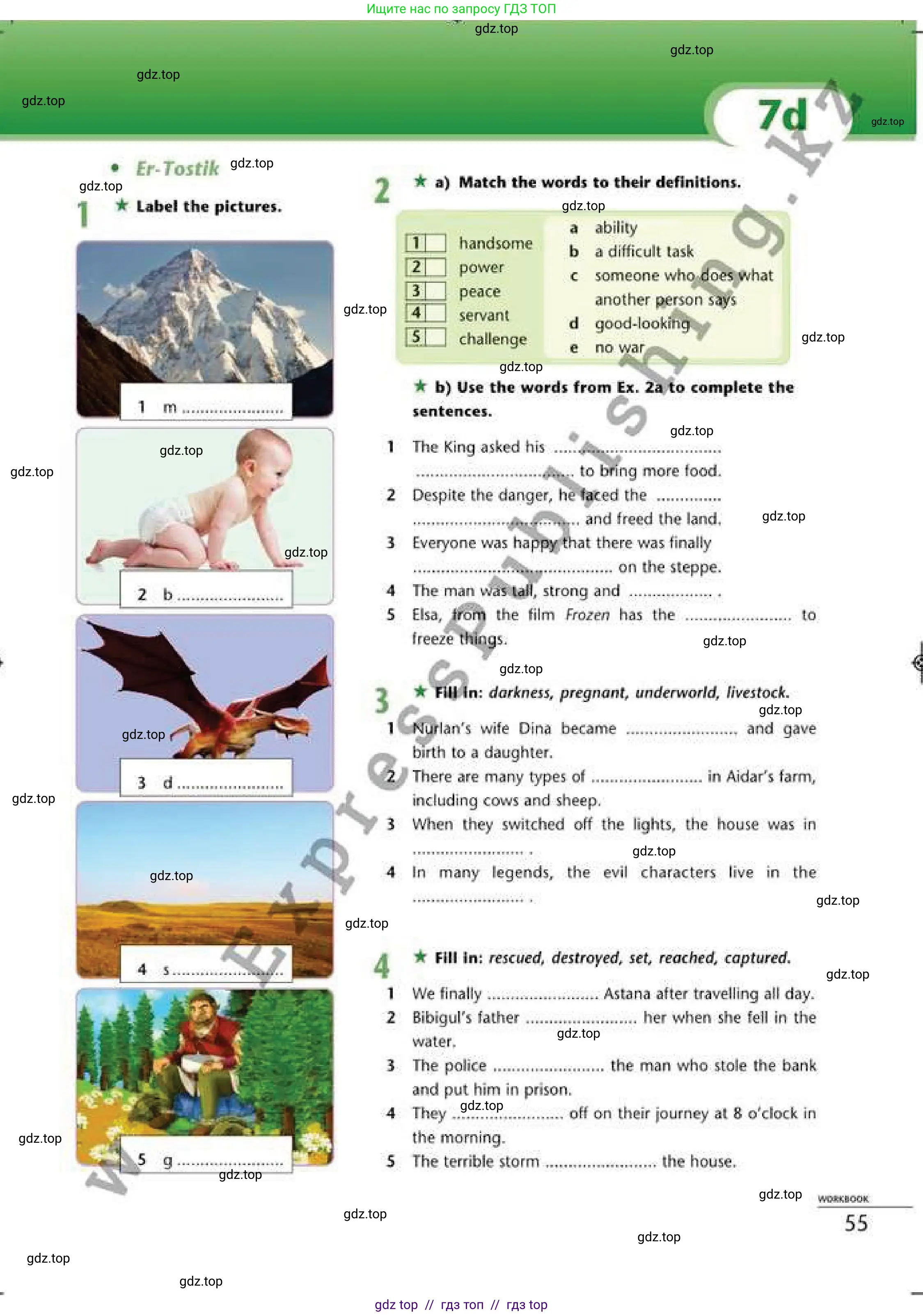 Английский язык (english), 6 класс Рабочая тетрадь (workbook), авторы: Эванс Вирджиния (Evans Virginia), Дули Дженни (Dooley Jenny), Оби Боб (Obee Bob), Мухамеджанова Наталья (Mukhamedjanova Natalya), издательство Express Publishing, Алматы, 2017, зелёного цвета, страница 55