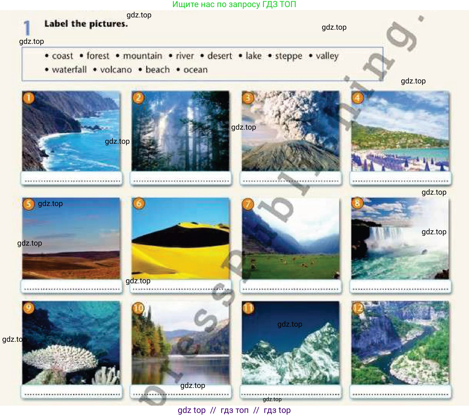 Английский язык (english), 6 класс Рабочая тетрадь (workbook), авторы: Эванс Вирджиния (Evans Virginia), Дули Дженни (Dooley Jenny), Оби Боб (Obee Bob), Мухамеджанова Наталья (Mukhamedjanova Natalya), издательство Express Publishing, Алматы, 2017, зелёного цвета, страница 92, номер 1, Условие