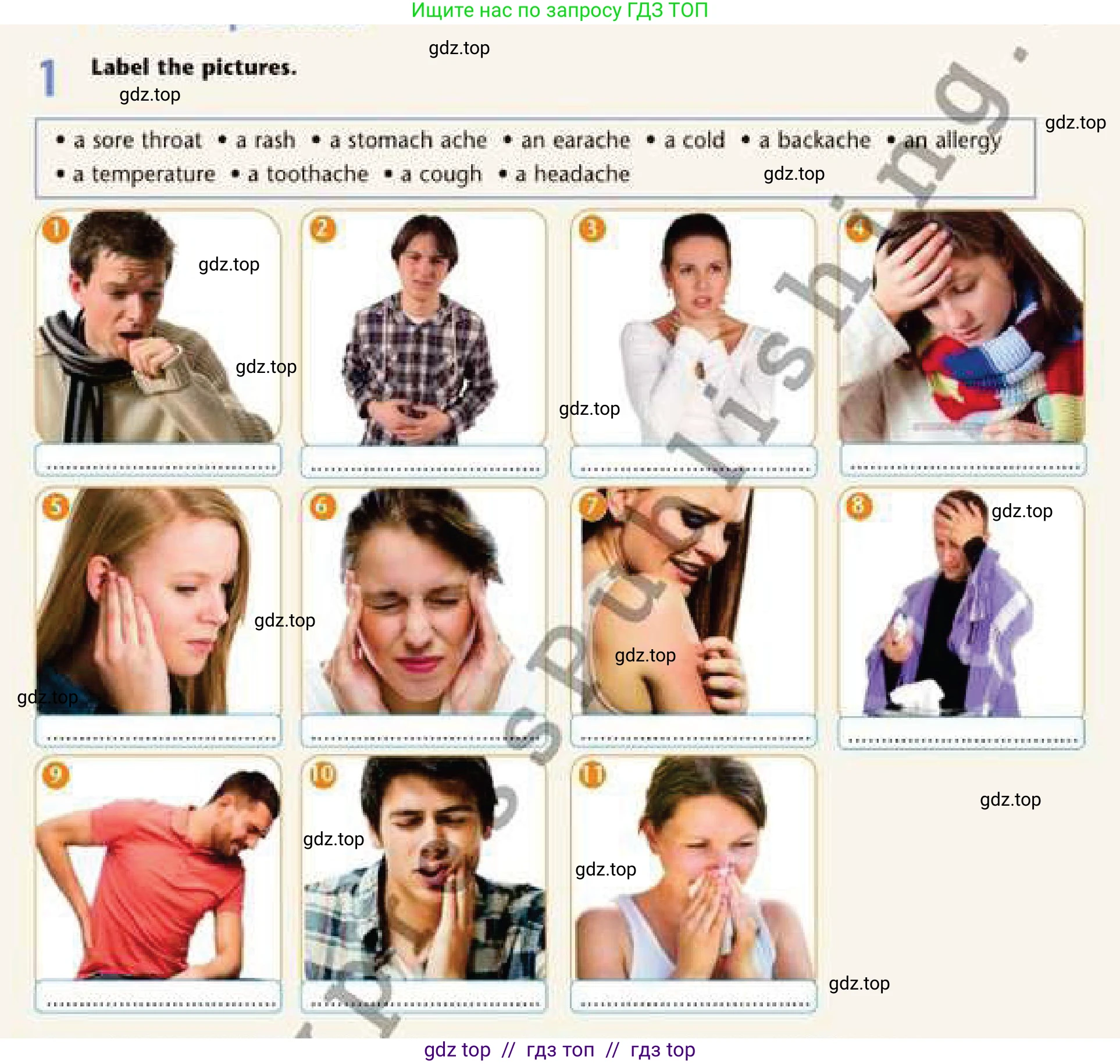 Английский язык (english), 6 класс Рабочая тетрадь (workbook), авторы: Эванс Вирджиния (Evans Virginia), Дули Дженни (Dooley Jenny), Оби Боб (Obee Bob), Мухамеджанова Наталья (Mukhamedjanova Natalya), издательство Express Publishing, Алматы, 2017, зелёного цвета, страница 96, номер 1, Условие