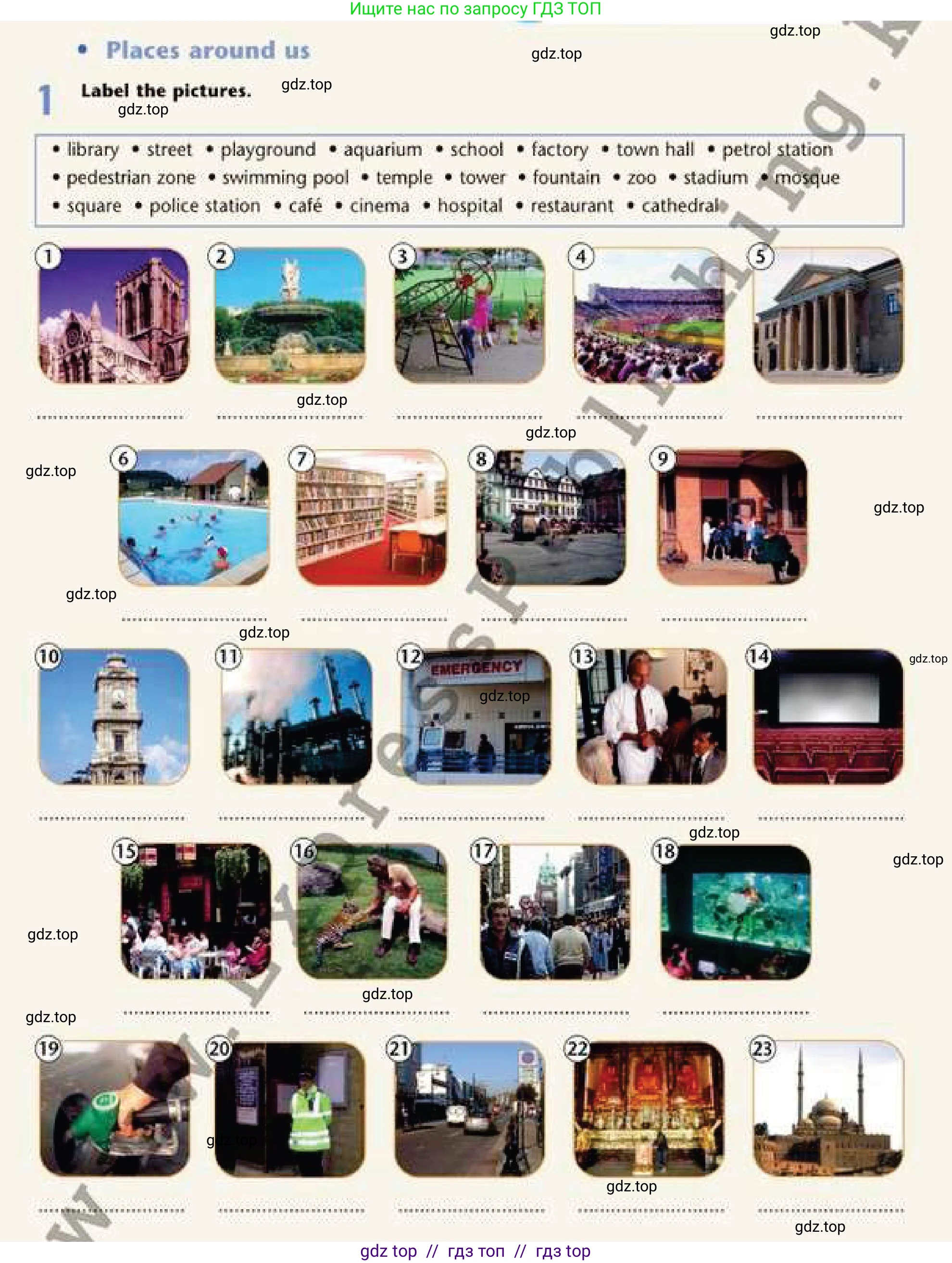 Английский язык (english), 6 класс Рабочая тетрадь (workbook), авторы: Эванс Вирджиния (Evans Virginia), Дули Дженни (Dooley Jenny), Оби Боб (Obee Bob), Мухамеджанова Наталья (Mukhamedjanova Natalya), издательство Express Publishing, Алматы, 2017, зелёного цвета, страница 99, номер 1, Условие