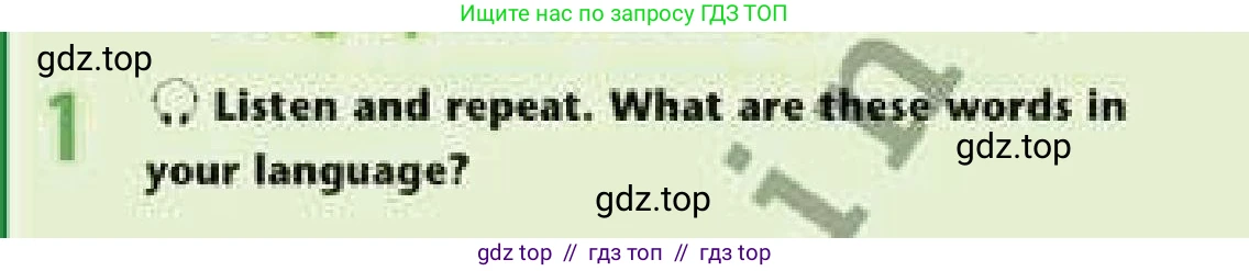 Английский язык (english), 6 класс Учебник (Student's book), авторы: Эванс Вирджиния (Evans Virginia), Дули Дженни (Dooley Jenny), Оби Боб (Obee Bob), Мухамеджанова Наталья (Mukhamedjanova Natalya), издательство Express Publishing, Алматы, 2018, зелёного цвета, страница 29, номер 1, Условие