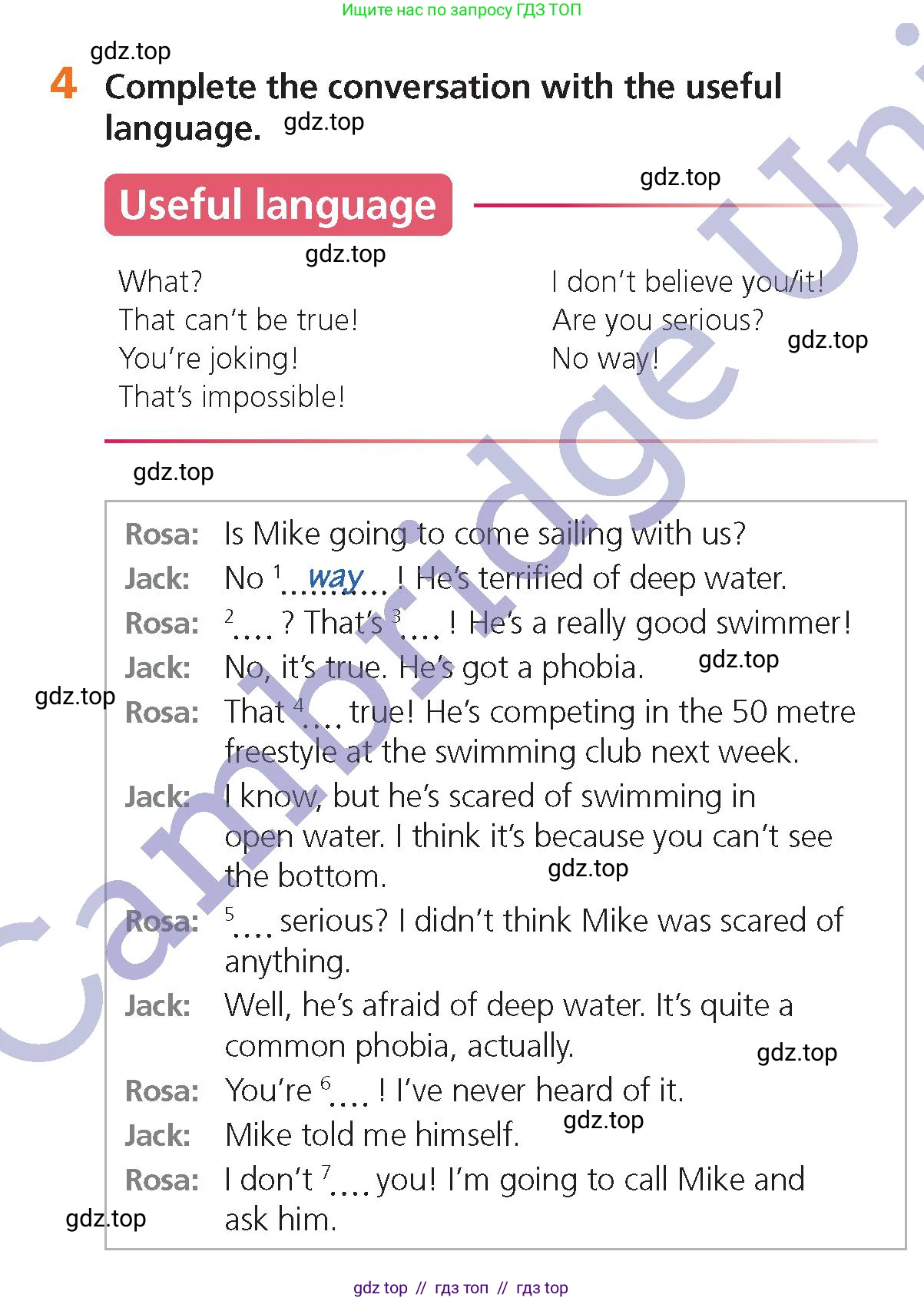 Английский язык (english), 6 класс Учебник (Student's book), авторы: Goldstein Ben, Jones Ceri, Anderson Vicki, Heyderman Emma, Higgins Eoin, издательство Cambridge University Press, Алматы, 2019, страница 106, номер 4, Условие