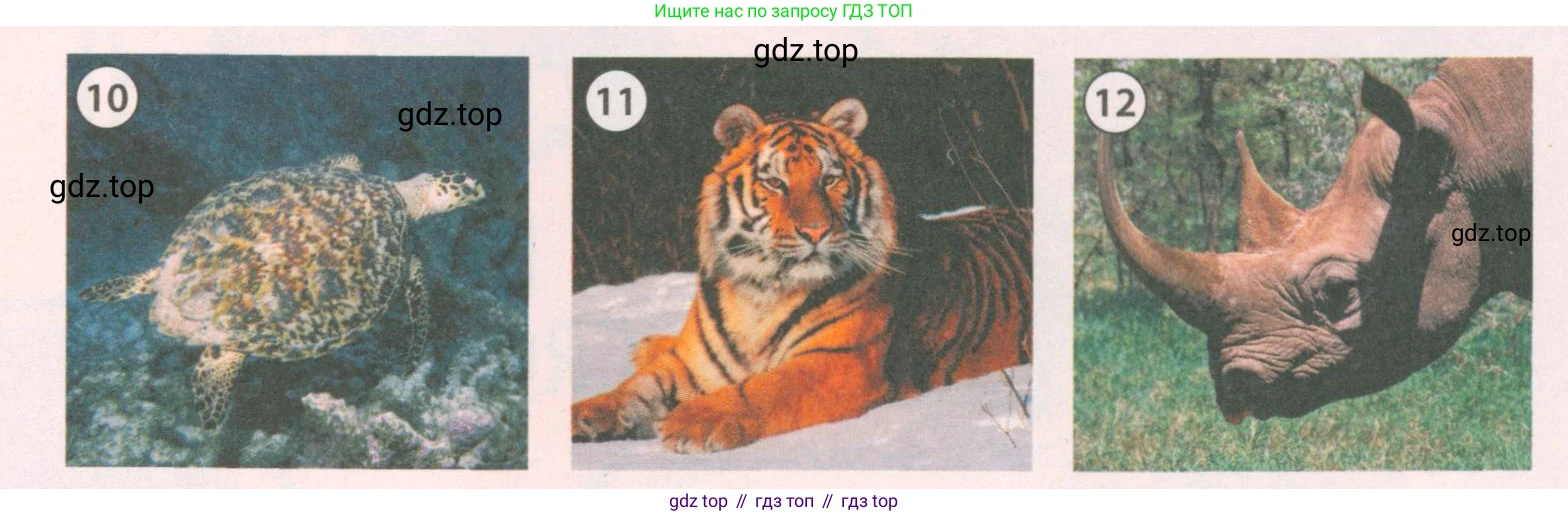ГДЗ Английский язык (english), 6 класс Учебник (Student's book), авторы: Комарова Юлия Александровна, Ларионова Ирина Владимировна, издательство Русское слово, Москва, 2022, розового цвета, страница 62, номер 1, Условие (продолжение 2)