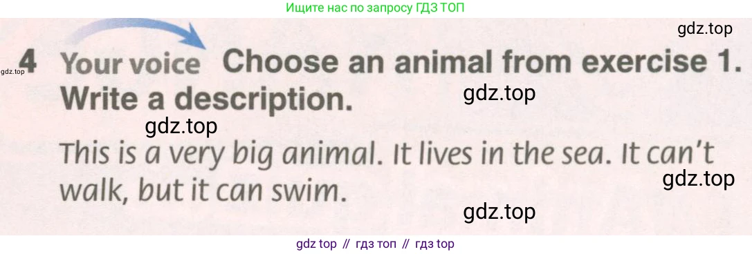 ГДЗ Английский язык (english), 6 класс Учебник (Student's book), авторы: Комарова Юлия Александровна, Ларионова Ирина Владимировна, издательство Русское слово, Москва, 2022, розового цвета, страница 62, номер 4, Условие