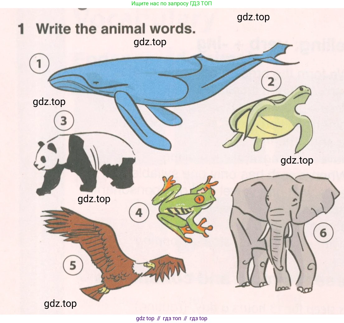 ГДЗ Английский язык (english), 6 класс Учебник (Student's book), авторы: Комарова Юлия Александровна, Ларионова Ирина Владимировна, издательство Русское слово, Москва, 2022, розового цвета, страница 72, номер 1, Условие