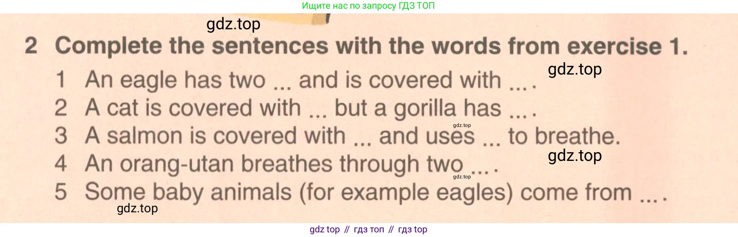 ГДЗ Английский язык (english), 6 класс Учебник (Student's book), авторы: Комарова Юлия Александровна, Ларионова Ирина Владимировна, издательство Русское слово, Москва, 2022, розового цвета, страница 138, номер 2, Условие
