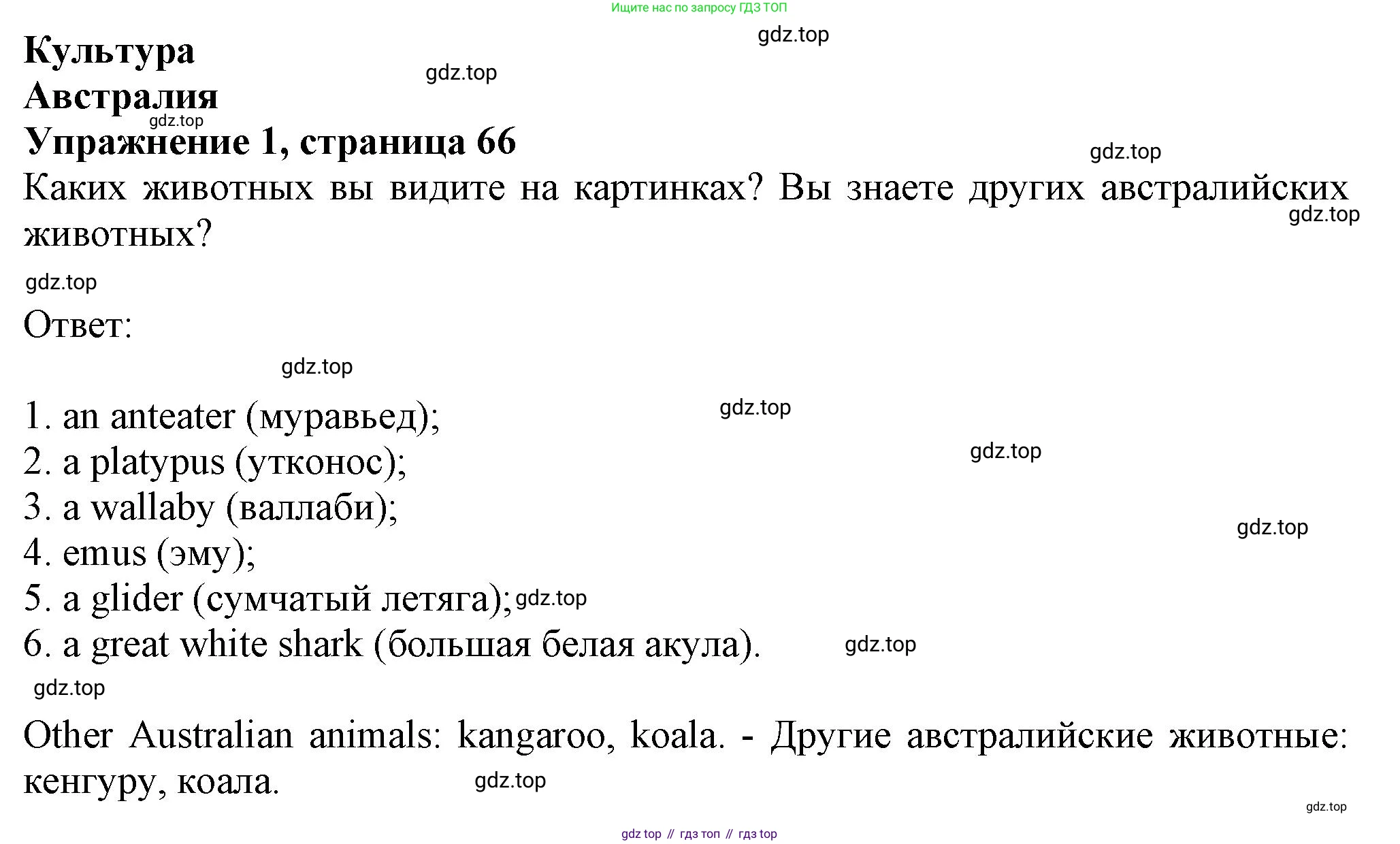 ГДЗ Английский язык (english), 6 класс Учебник (Student's book), авторы: Комарова Юлия Александровна, Ларионова Ирина Владимировна, издательство Русское слово, Москва, 2022, розового цвета, страница 66, номер 1, Решение