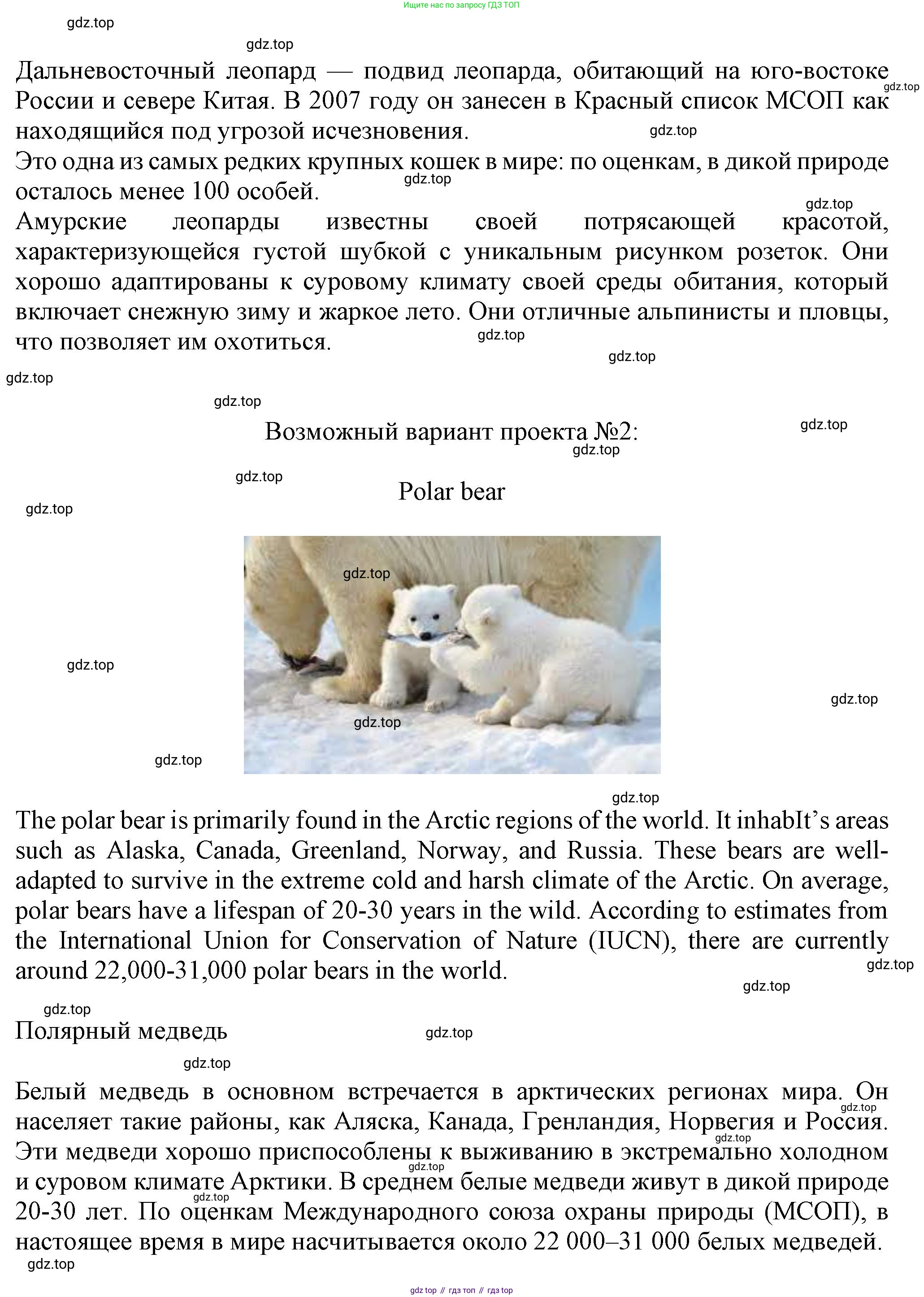 ГДЗ Английский язык (english), 6 класс Учебник (Student's book), авторы: Комарова Юлия Александровна, Ларионова Ирина Владимировна, издательство Русское слово, Москва, 2022, розового цвета, страница 68, номер 3, Решение (продолжение 3)